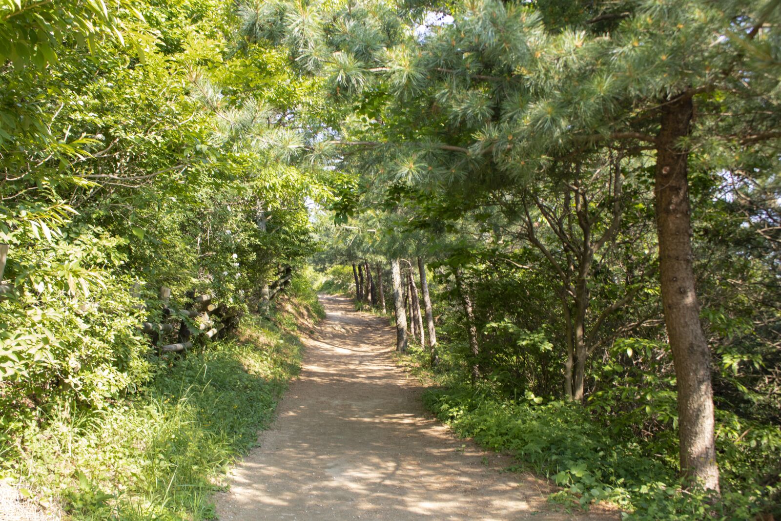 Canon EOS 750D (EOS Rebel T6i / EOS Kiss X8i) sample photo. Korea, busan, mountain photography