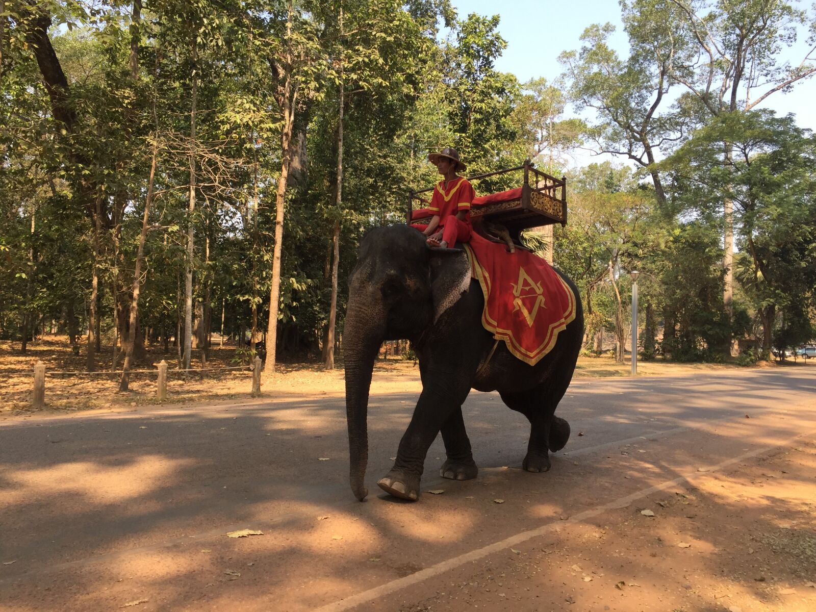 iPhone 6 Plus back camera 4.15mm f/2.2 sample photo. Siem, reap photography