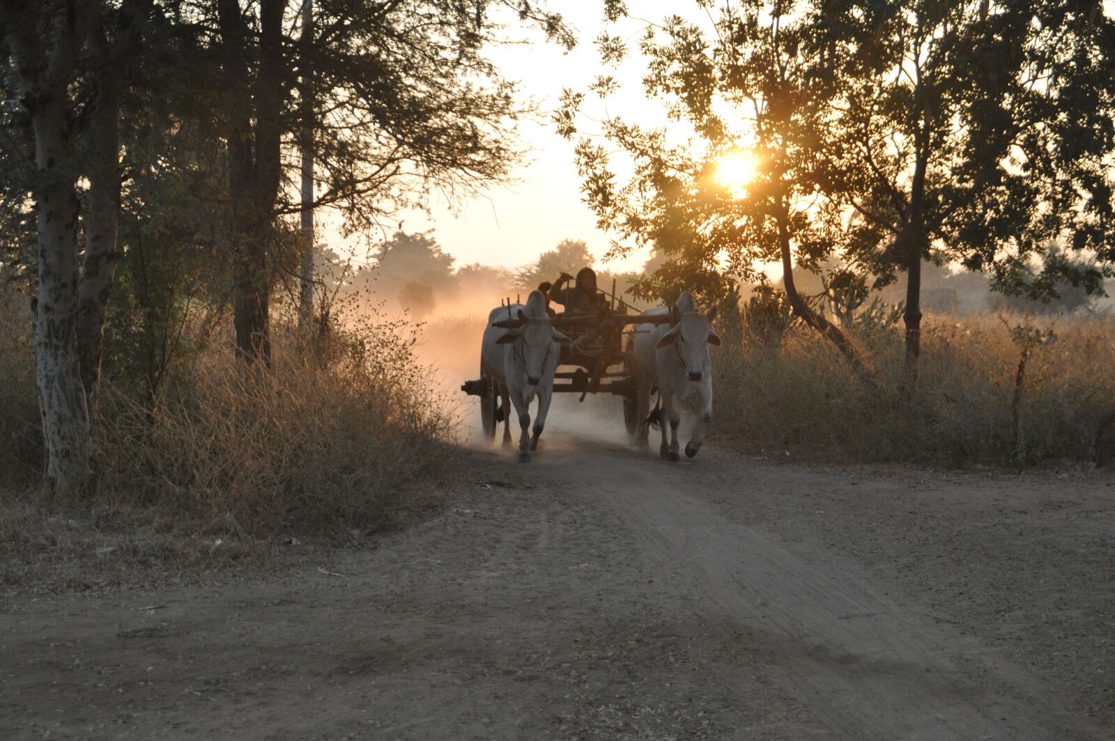 Nikon D5000 sample photo. Cart, originally, sunrise photography