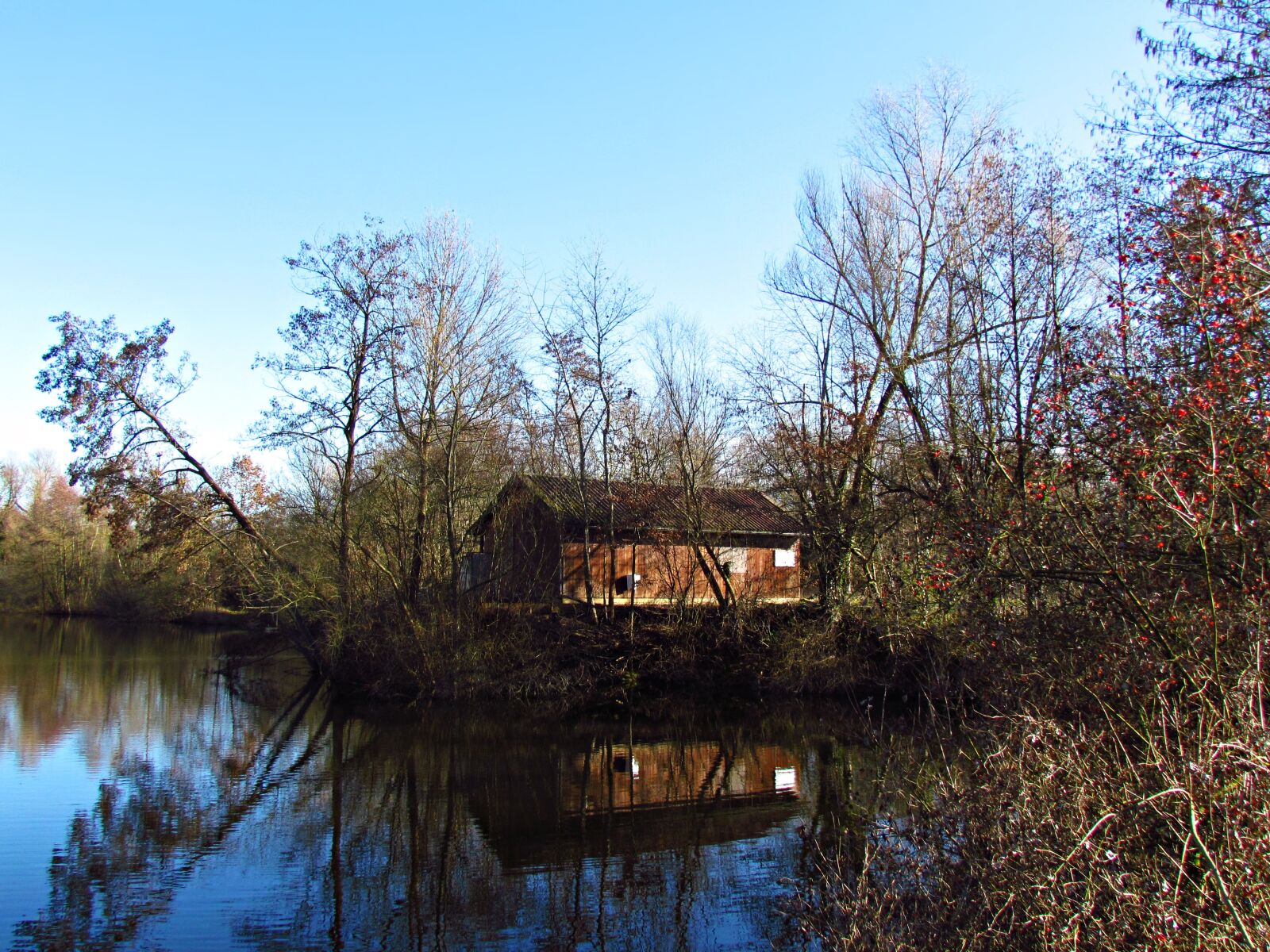 Canon PowerShot SX30 IS sample photo. Water, pond, grass photography