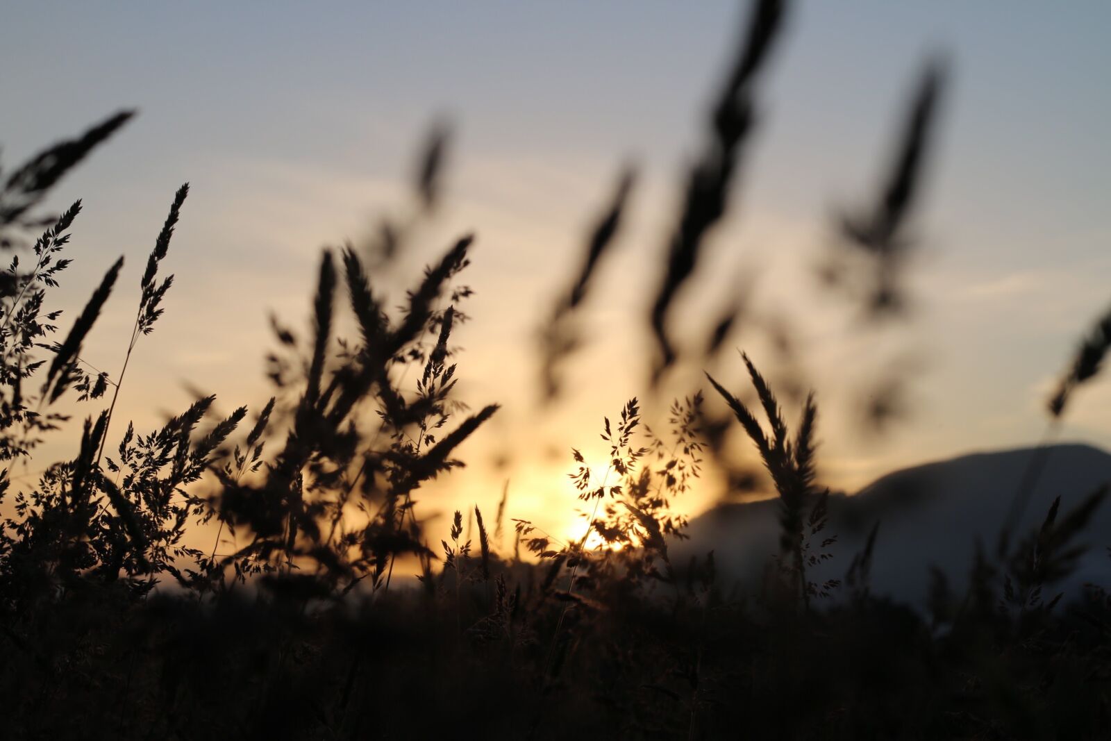 Canon EOS 70D + Canon EF 50mm F1.8 STM sample photo. Dawn, dusk, field photography
