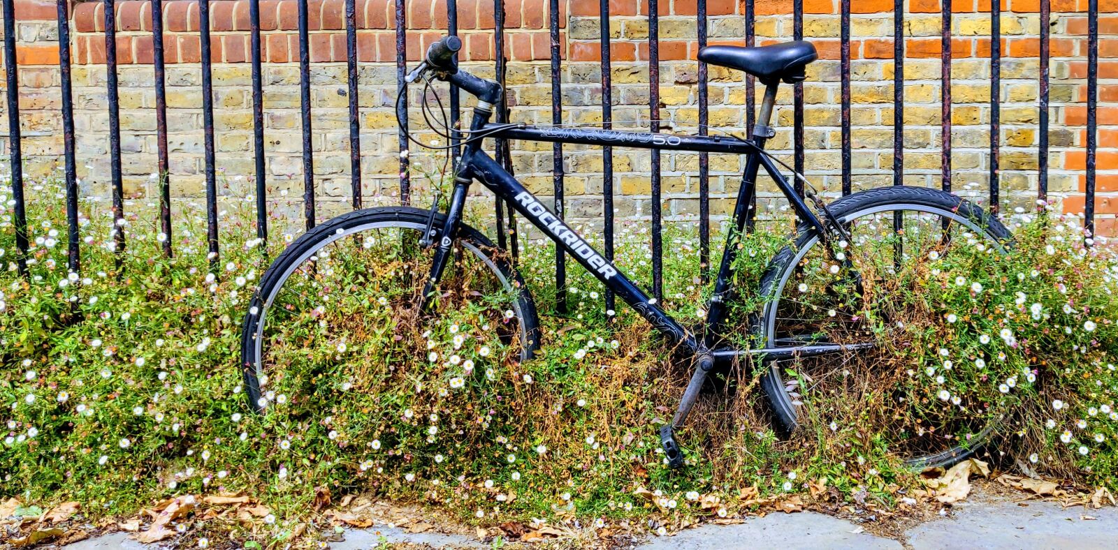 OnePlus 6 sample photo. Bike, bicycle, cycle photography