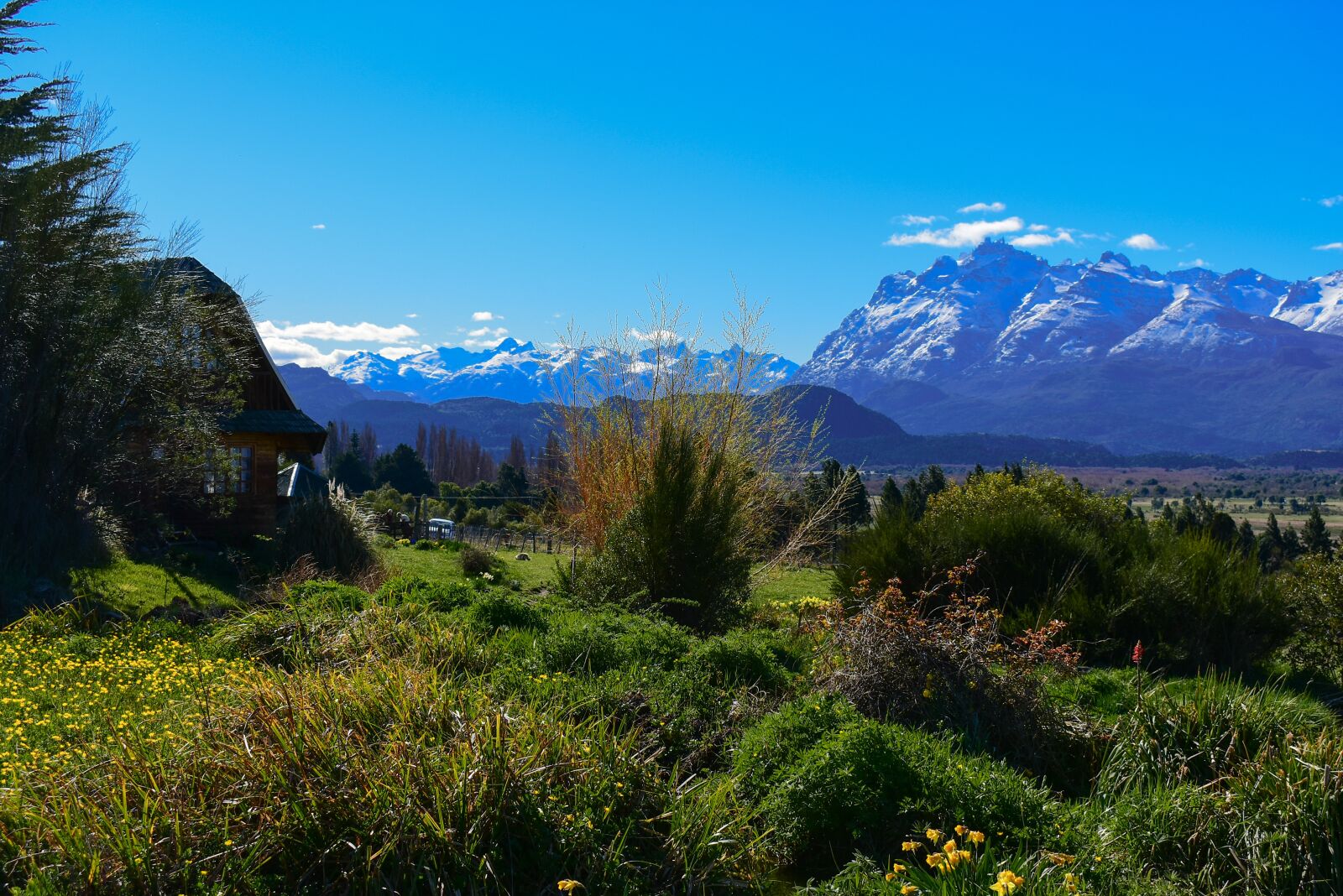 Nikon D3400 sample photo. Mountain, flowers, nature photography