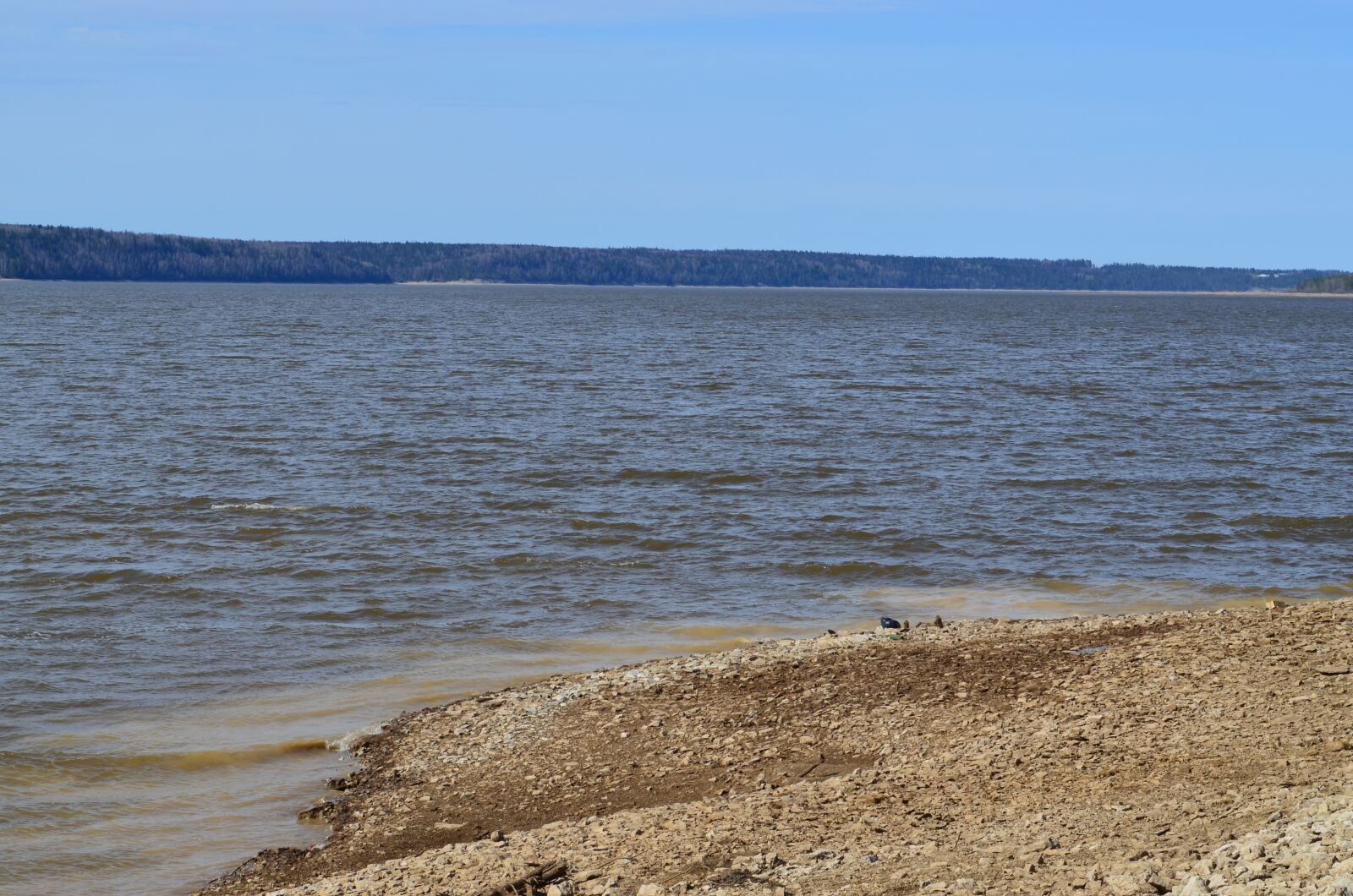 Nikon D5100 sample photo. Spring, kama, russia photography