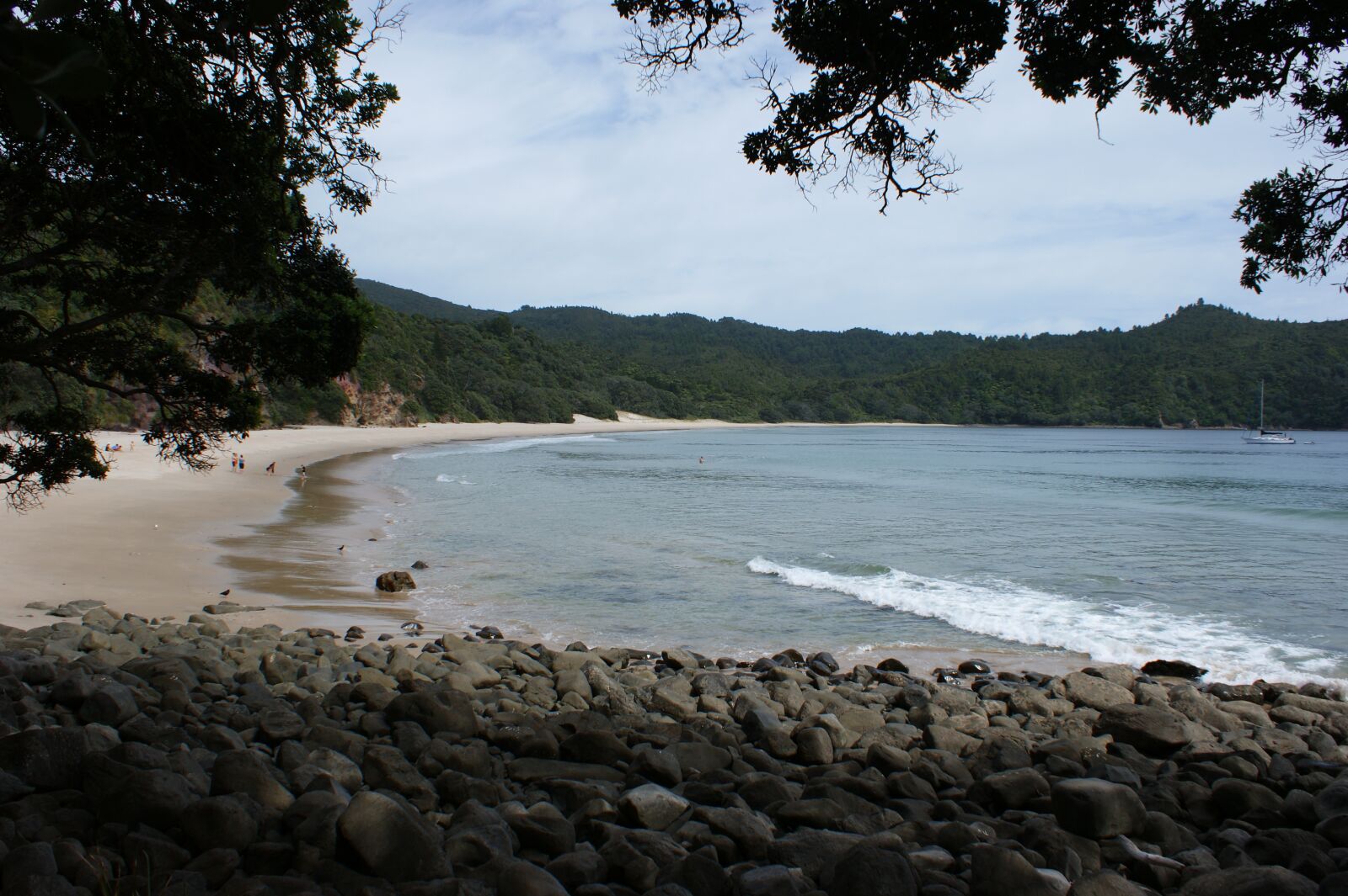Sony Alpha DSLR-A350 sample photo. New zealand, new chums photography