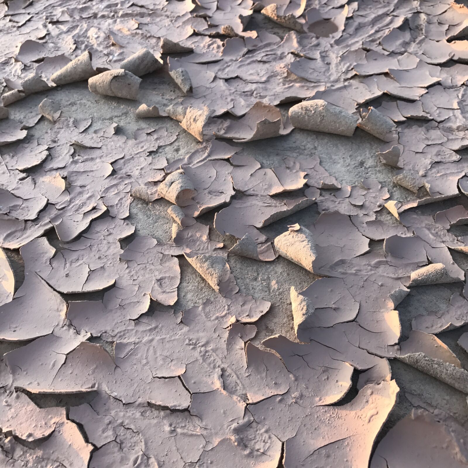 Apple iPhone 7 sample photo. Dried mud, curling mud photography