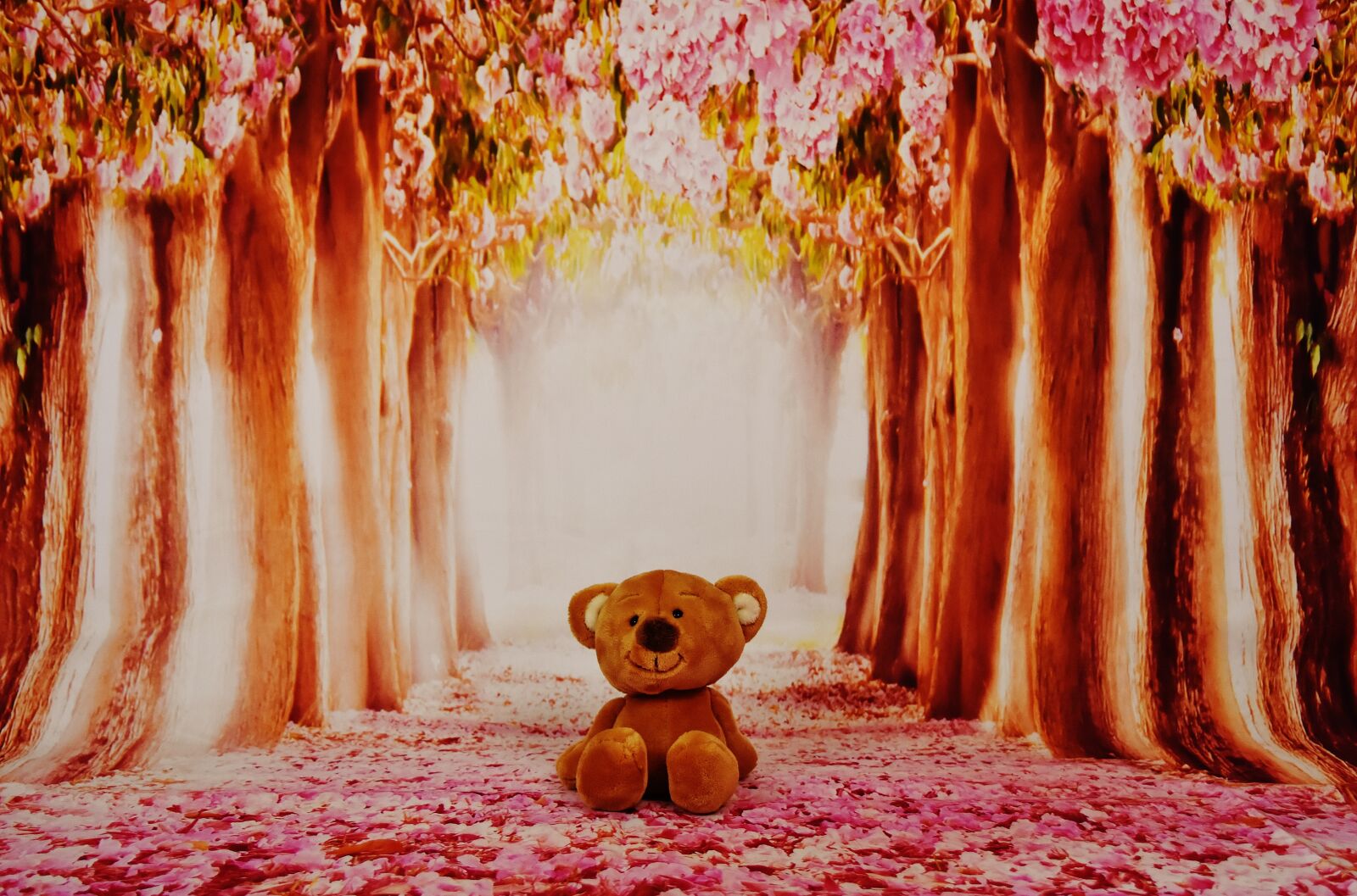 Nikon D7200 sample photo. Teddy, forest, trees photography