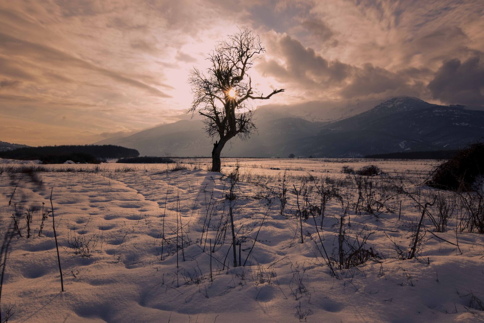 Nikon D7200 sample photo. Snow, sun, winter photography
