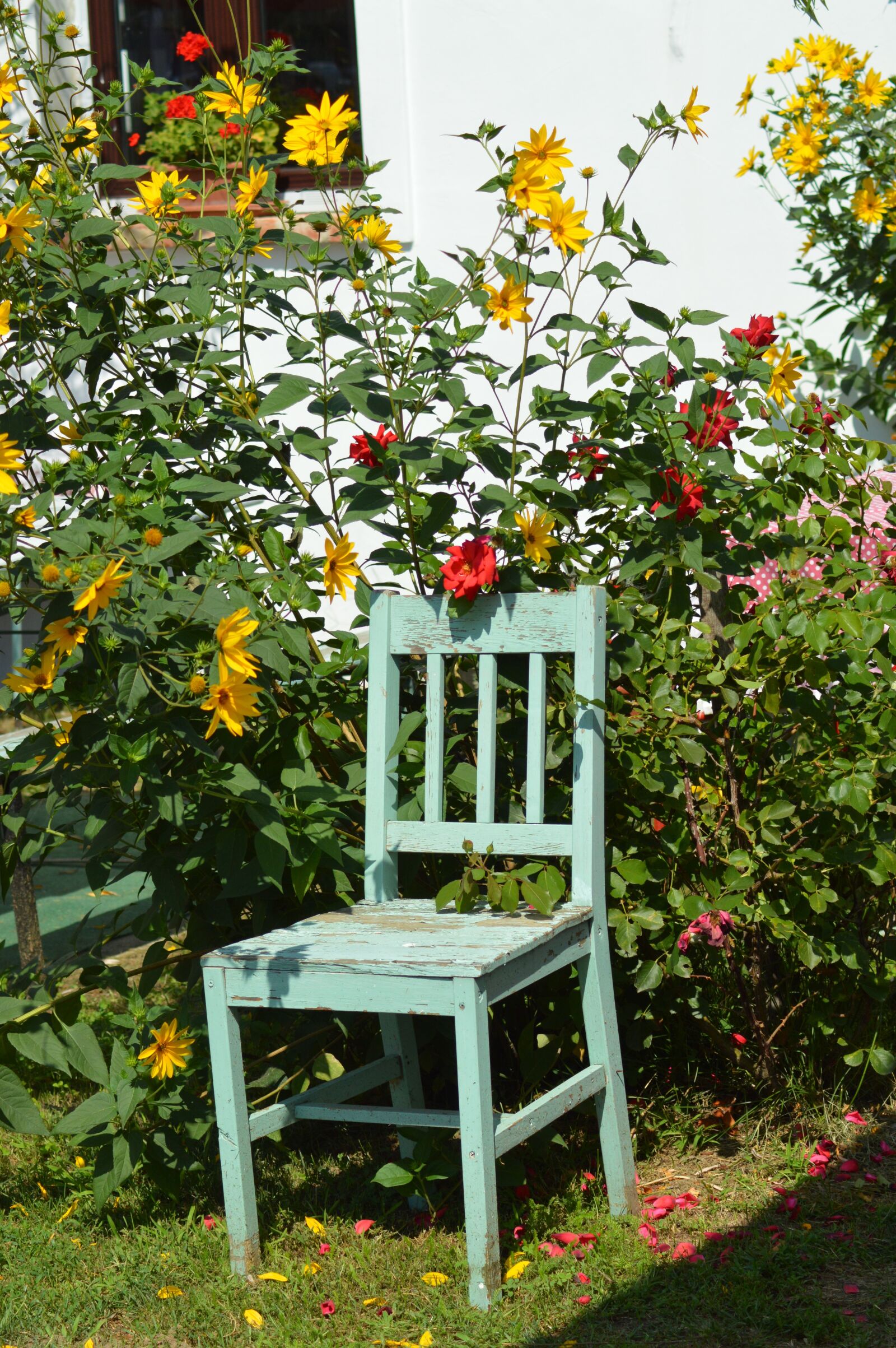 Nikon D3200 sample photo. Chair, colors, flower photography
