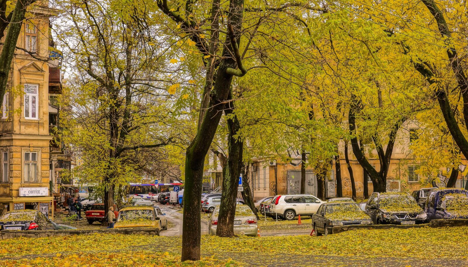 Sony Cyber-shot DSC-RX100 sample photo. Autumn, yellow leaves, autumn photography