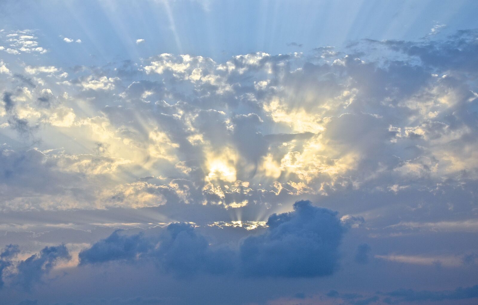 Nikon D3100 sample photo. Fern, sky, rays photography