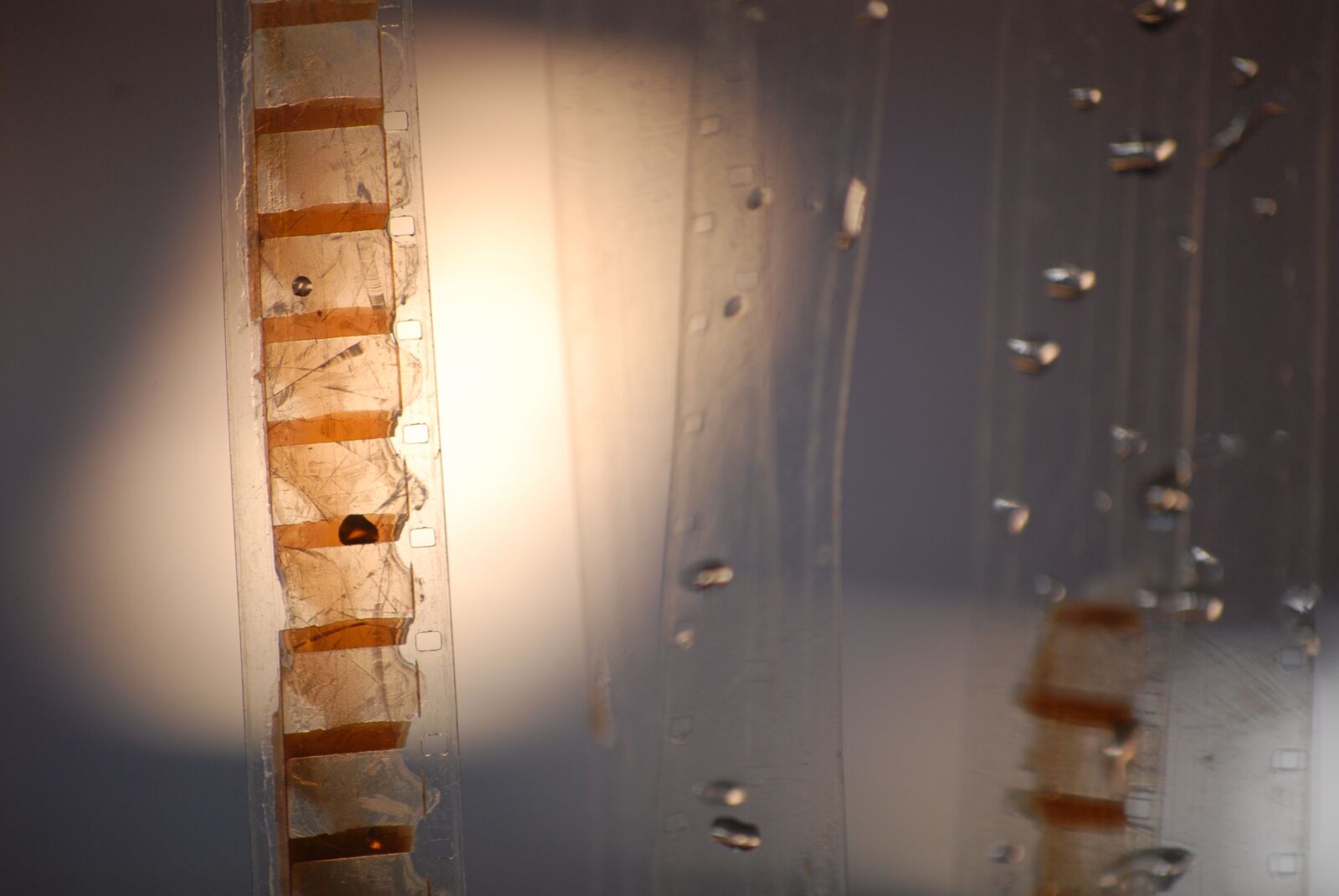 Nikon D200 sample photo. Film strips, 16mm, celluloid photography