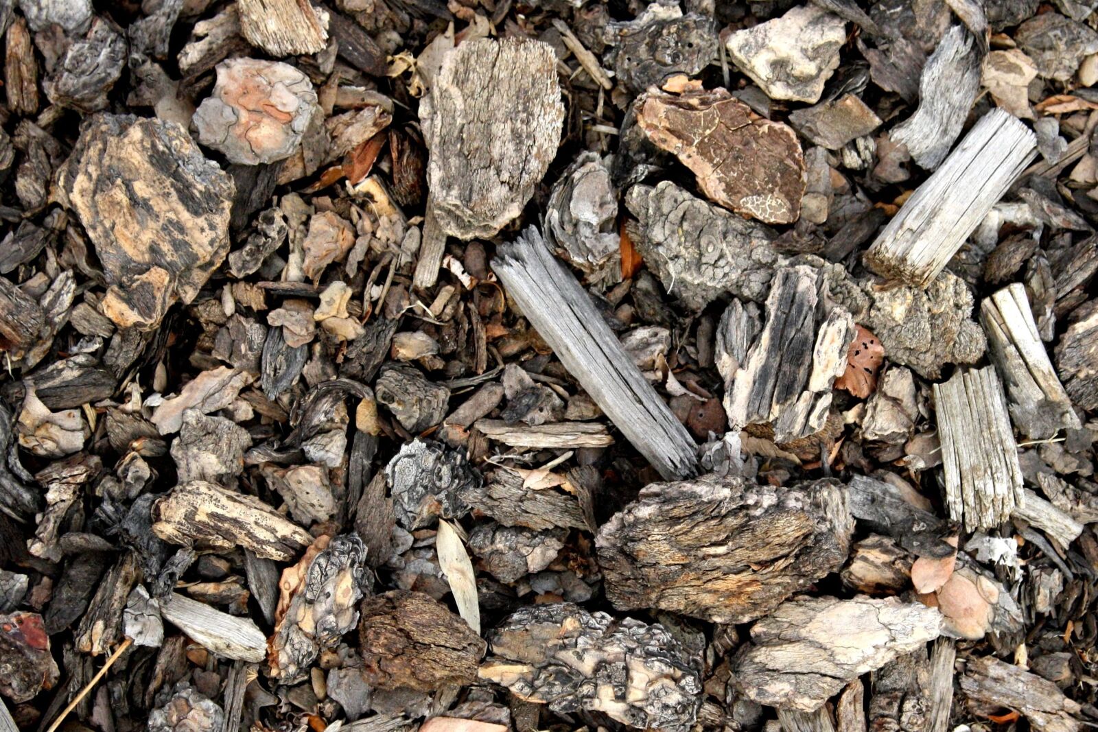 f/3.5-5.6 IS sample photo. Tree bark, mulch, texture photography
