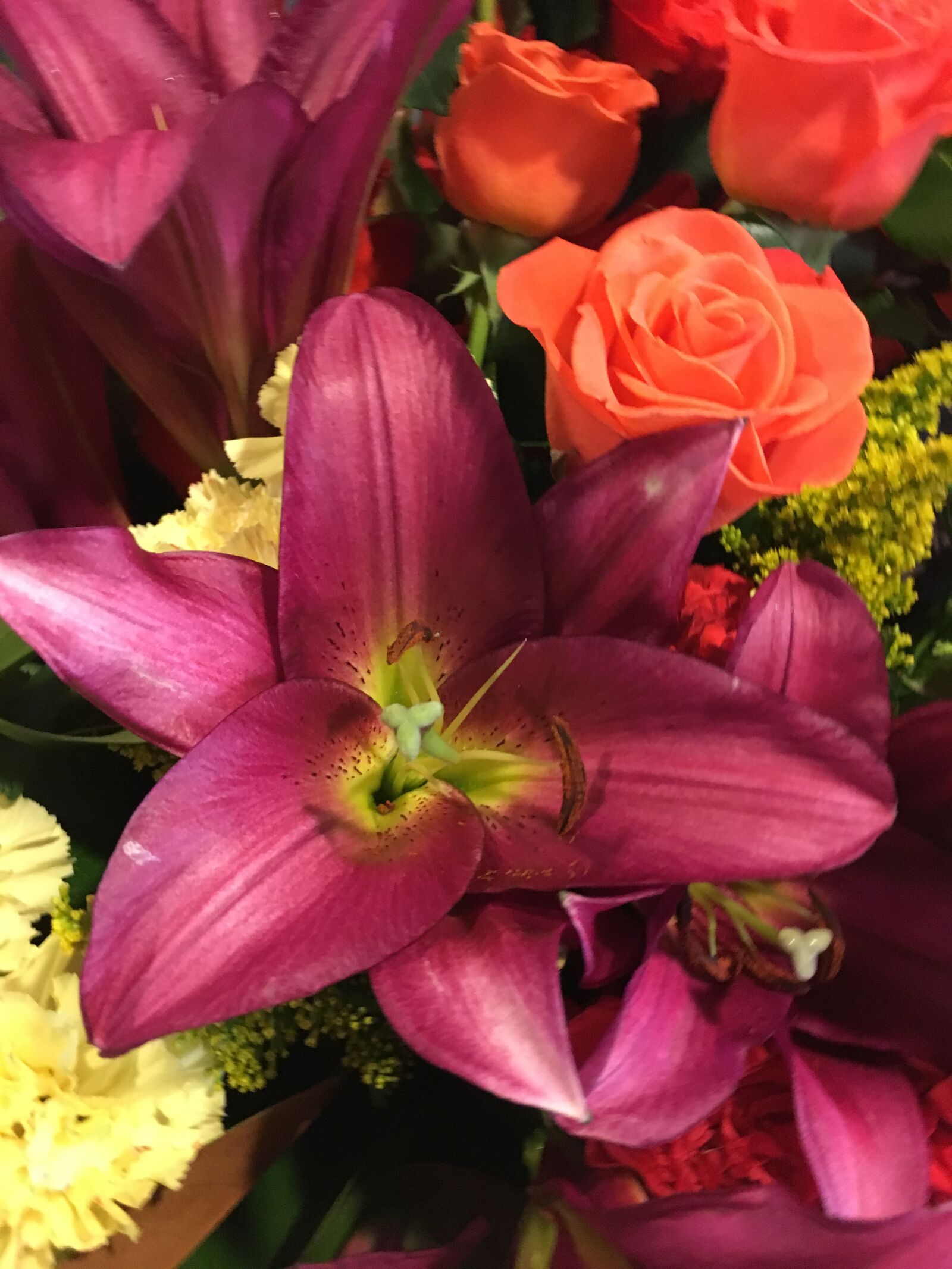 Apple iPhone 6s sample photo. Lily, purple, flower photography