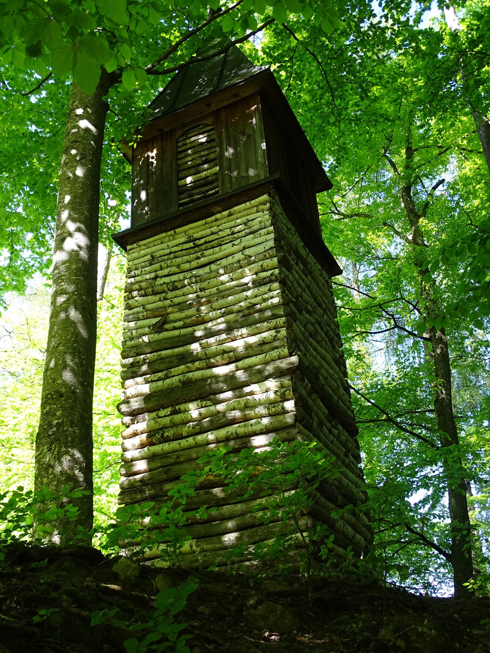 Sony Cyber-shot DSC-HX400V sample photo. Tower, green, forest photography