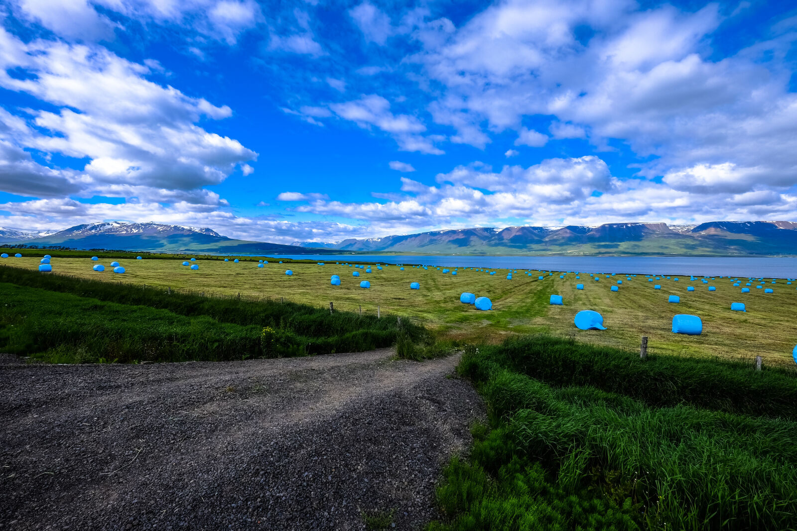 Fujifilm XF 10-24mm F4 R OIS sample photo. Clouds, cropland, crops, environment photography