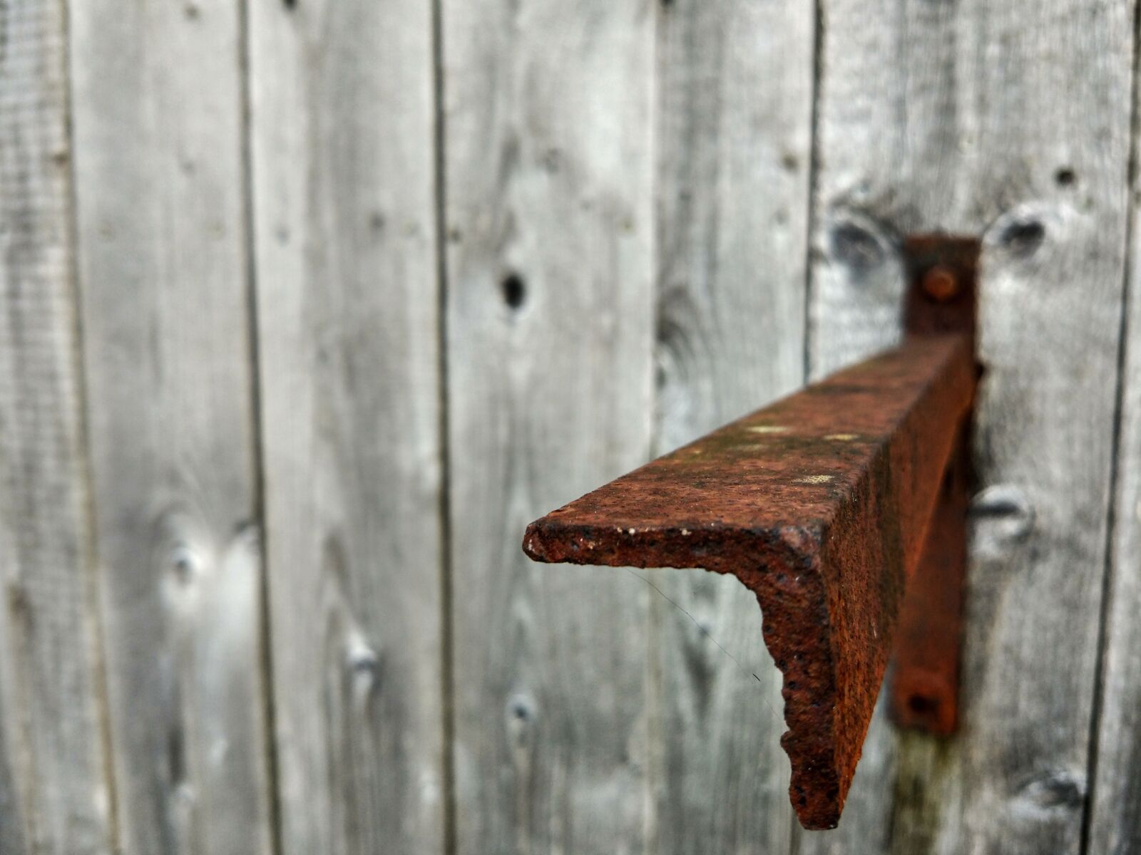 Xiaomi MI 5 sample photo. Tree, metal, rusty photography