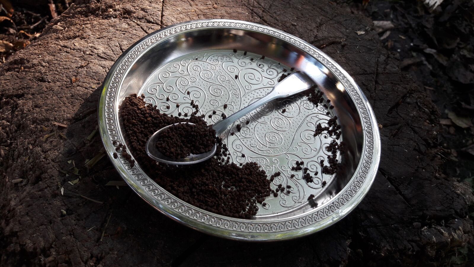 Samsung Galaxy A5(2016) sample photo. Tea, teaspoon, silver photography