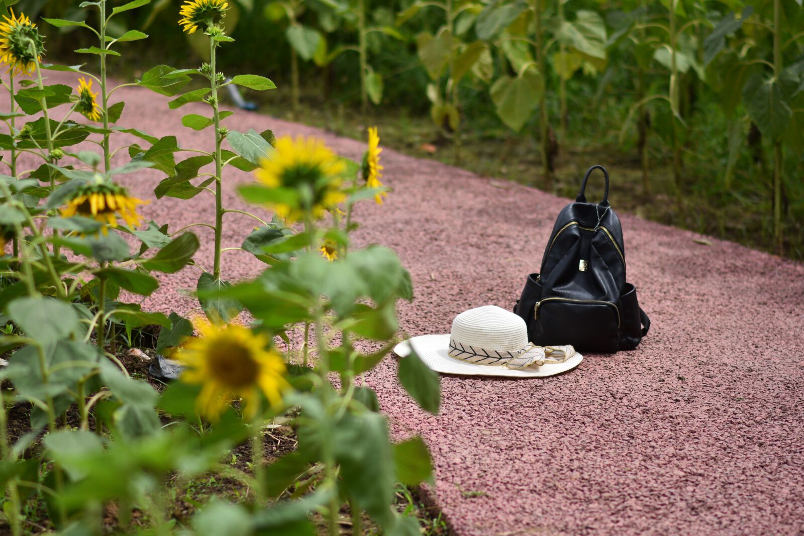 Nikon D7200 sample photo. Backpack, hat, sunflowers photography