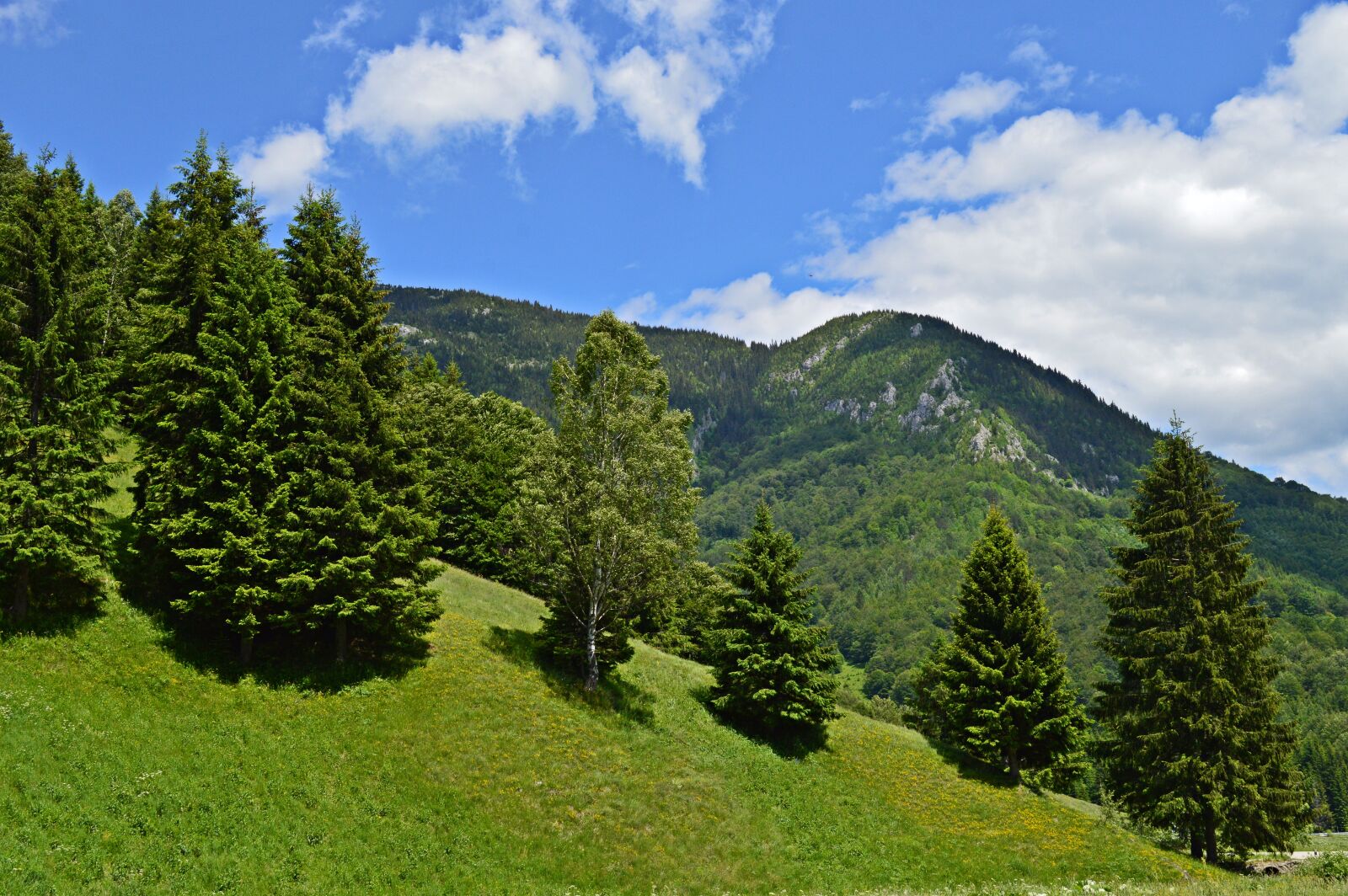 Nikon D3200 sample photo. Road 66a, mountain, romania photography