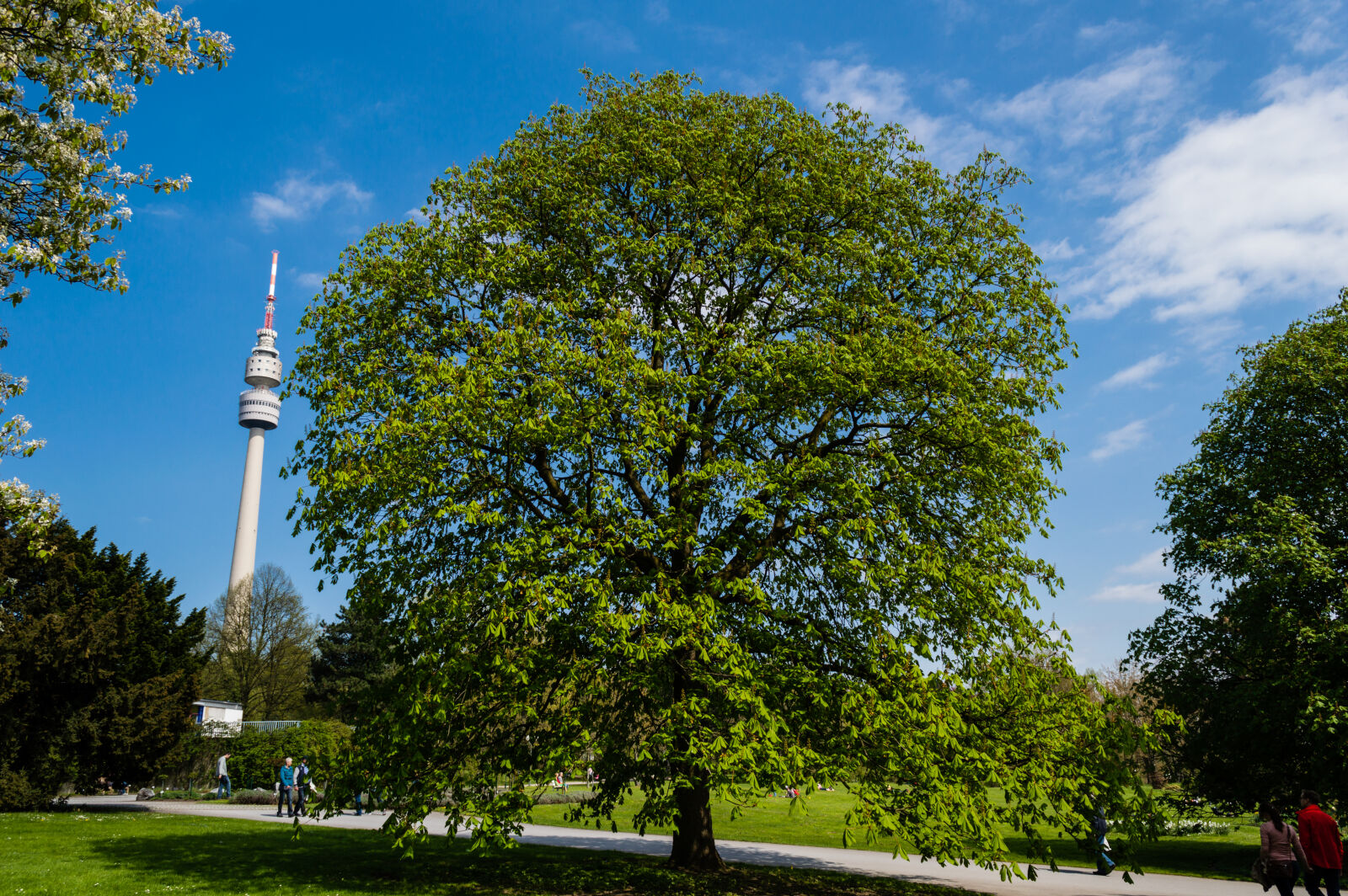 Nikon D3200 sample photo