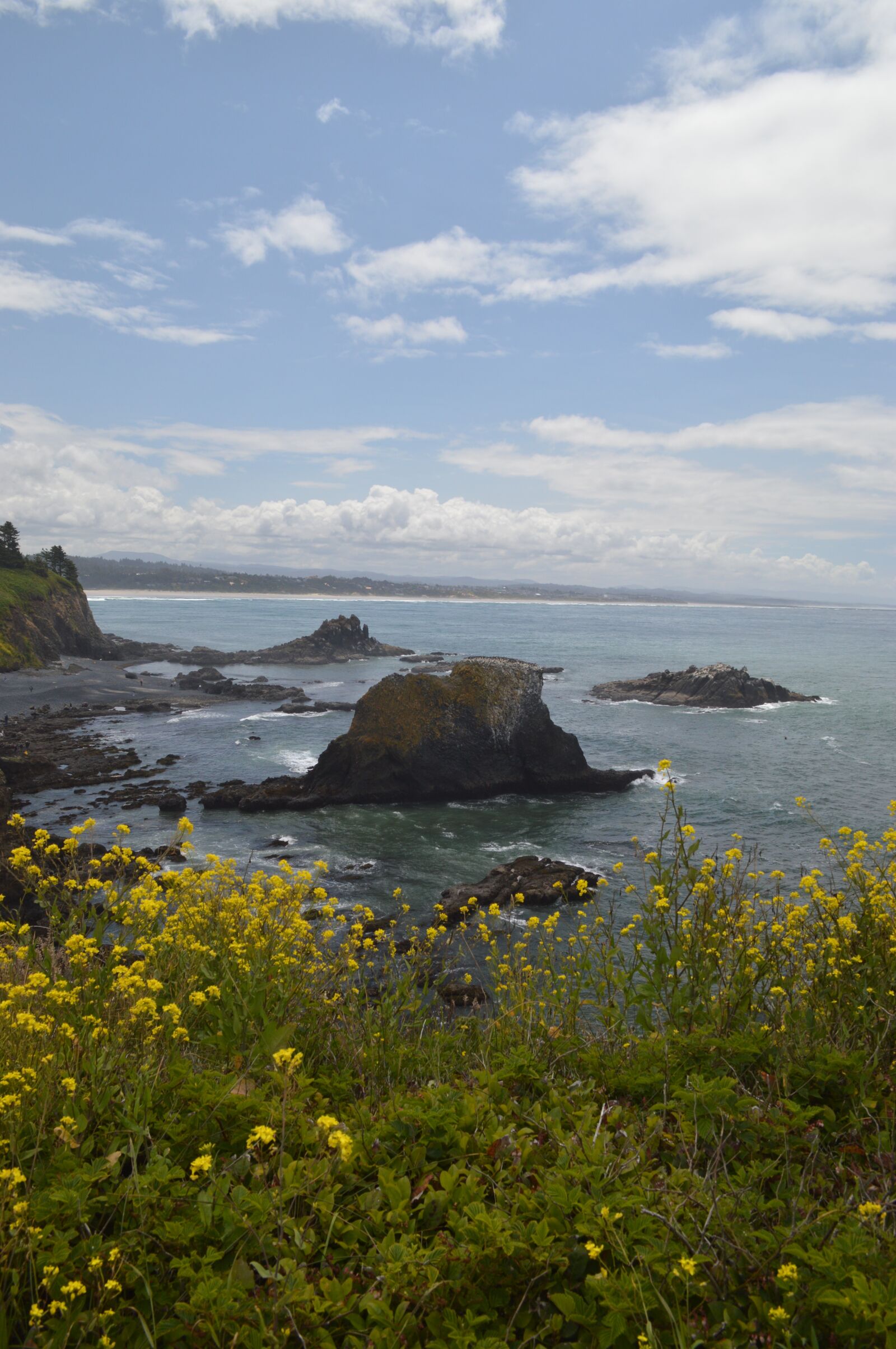 Nikon D3200 sample photo. Rocks, wildflowers, sea photography