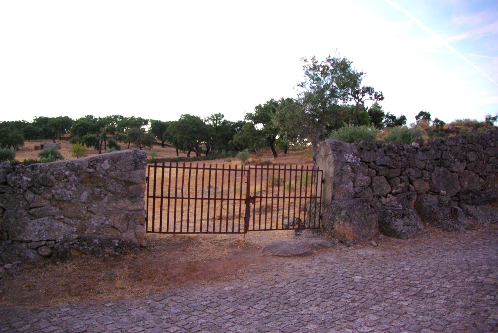 Pentax K10D sample photo. Gate, the gate, portugal photography