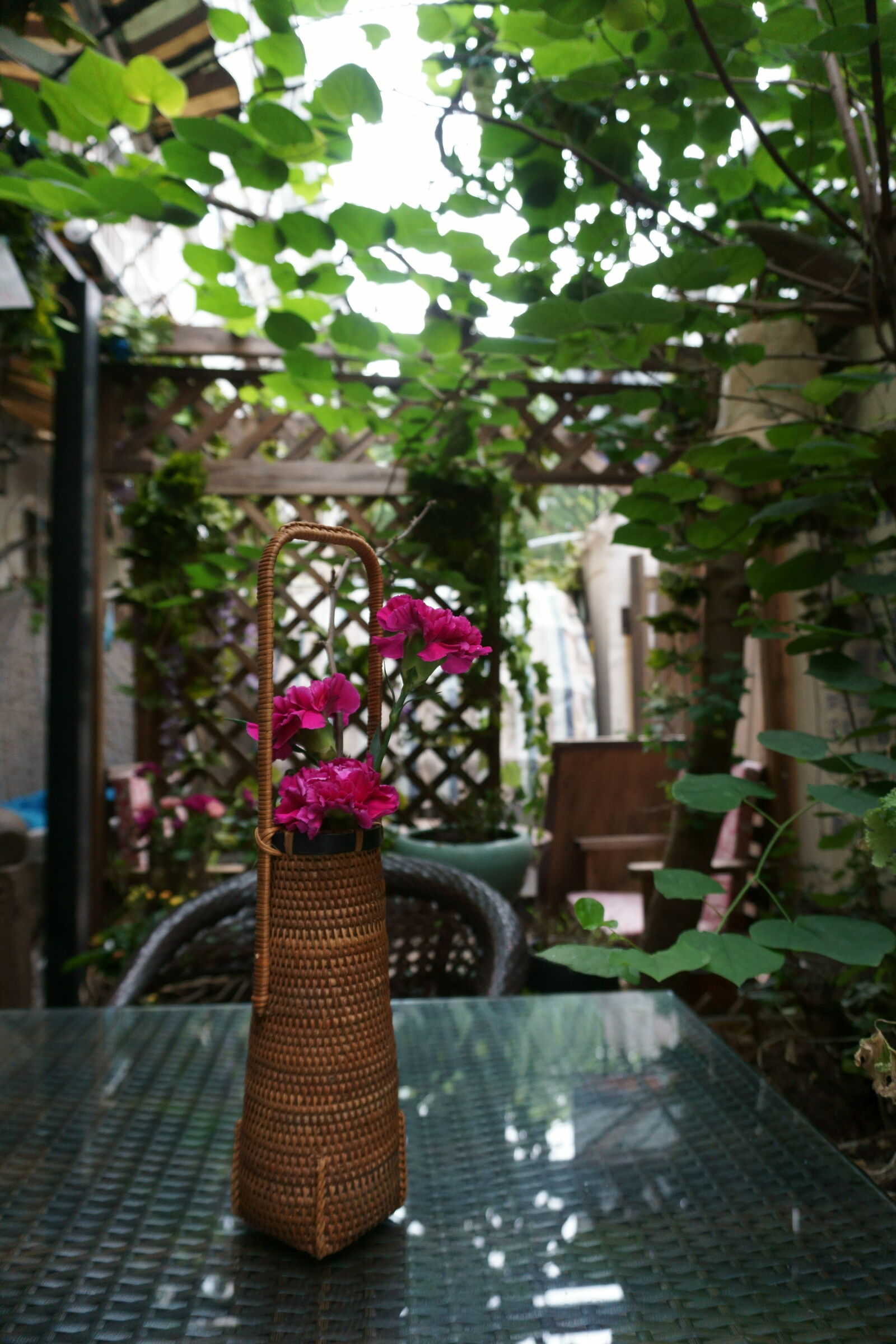 Sony E 16-50mm F3.5-5.6 PZ OSS sample photo. Close, up, of, flower photography
