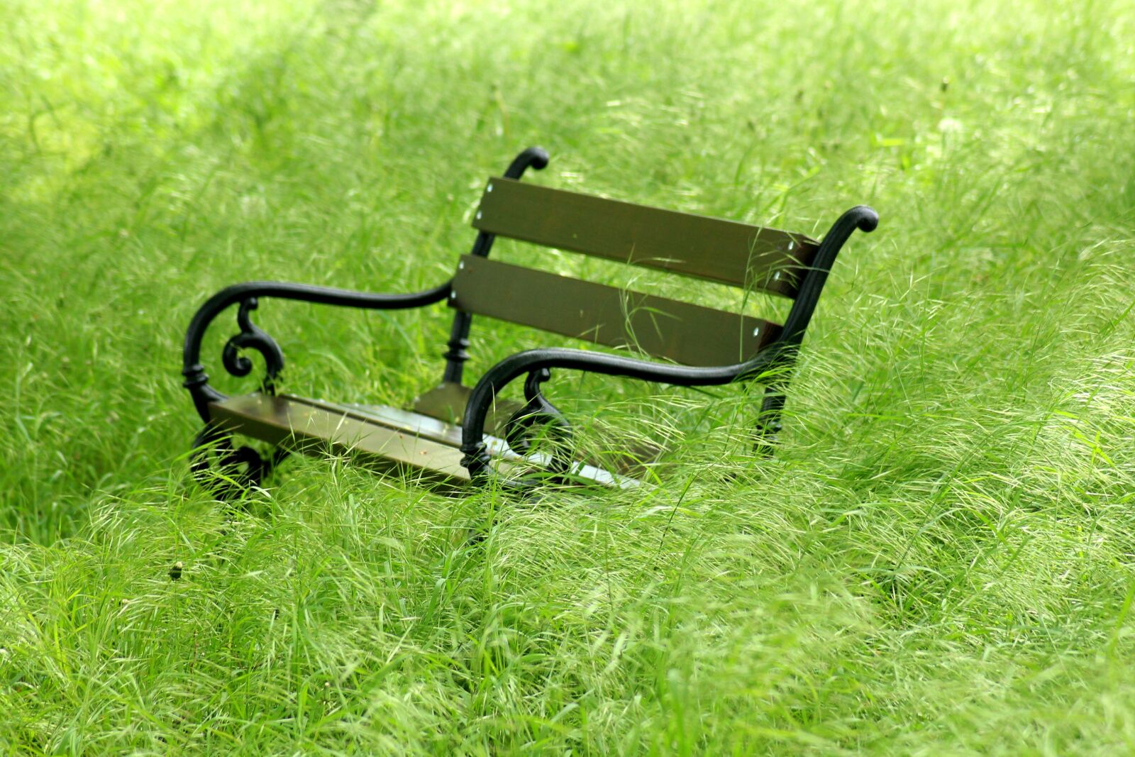 Canon EOS 1200D (EOS Rebel T5 / EOS Kiss X70 / EOS Hi) sample photo. Bench, grass, green photography