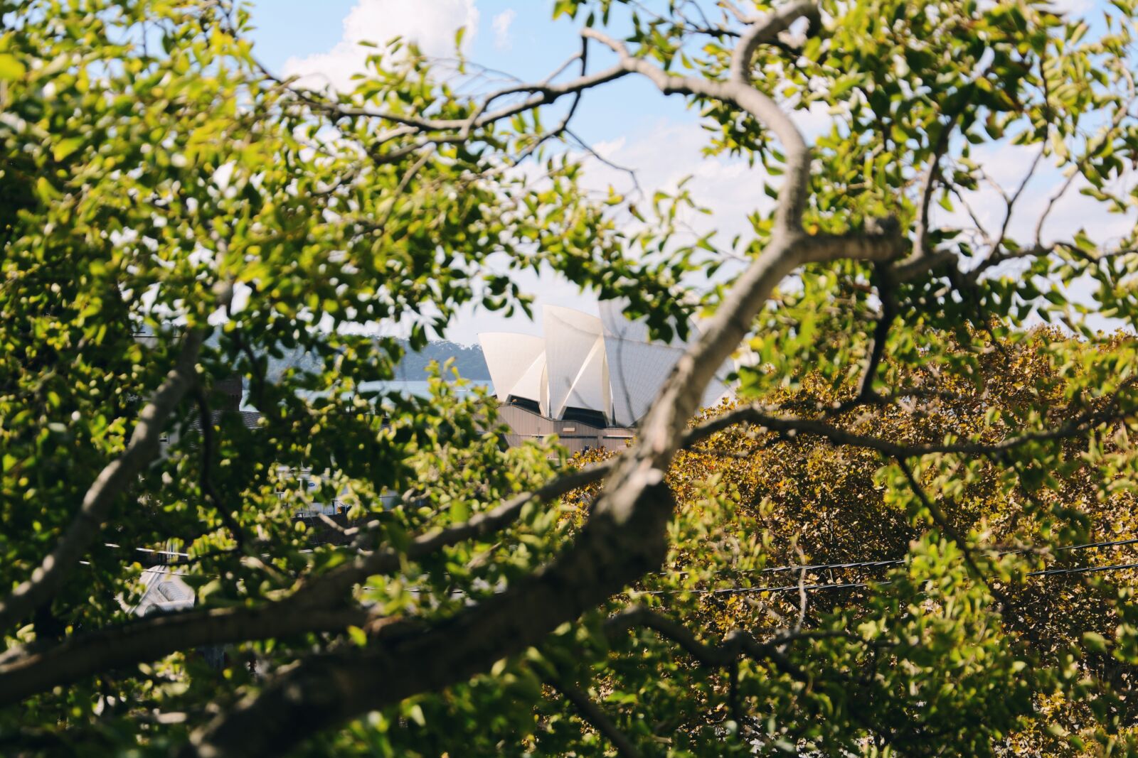 Nikon D5200 sample photo