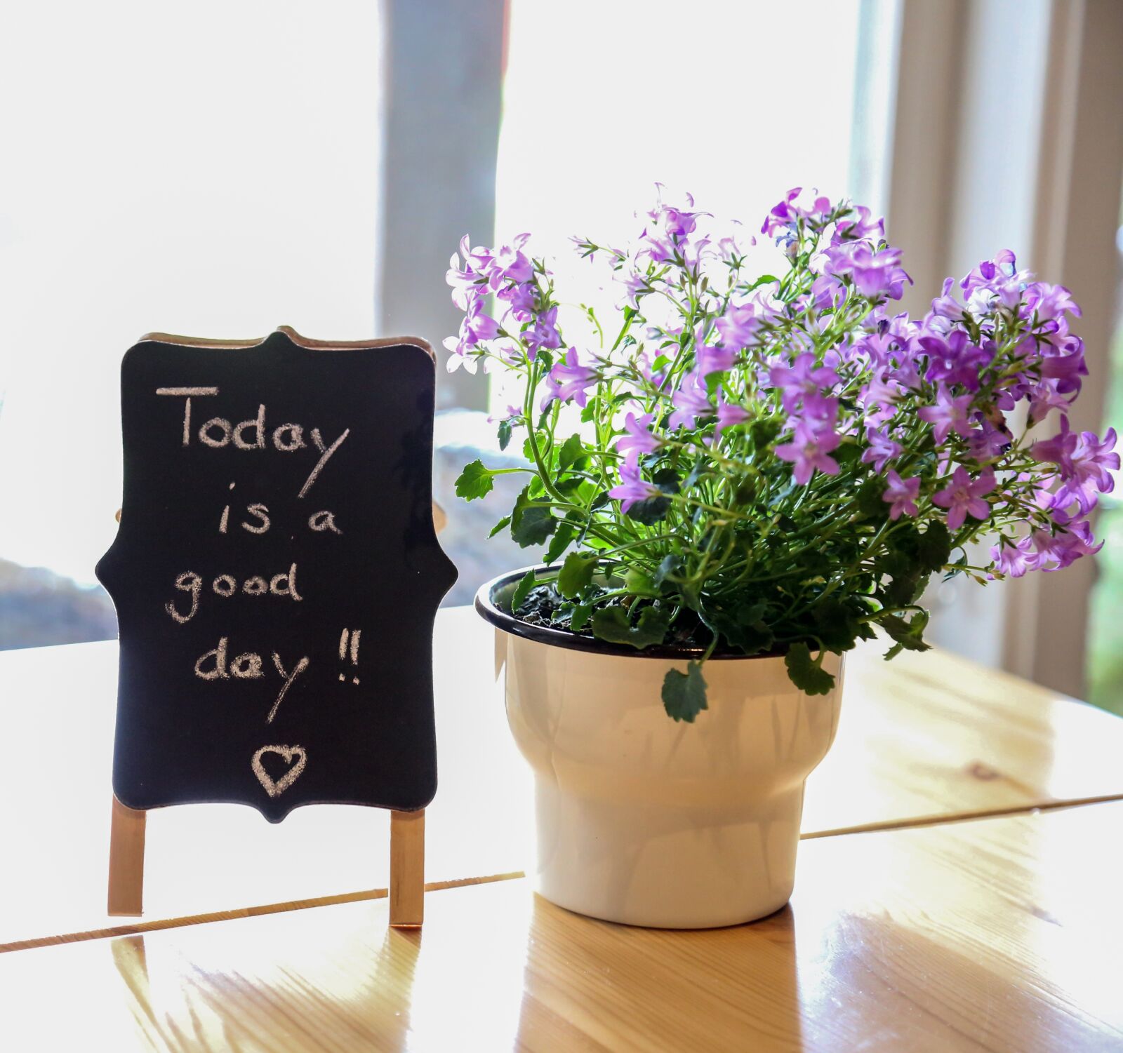 Canon EOS 6D + Canon EF 24-105mm F4L IS USM sample photo. Sign, flower, good day photography