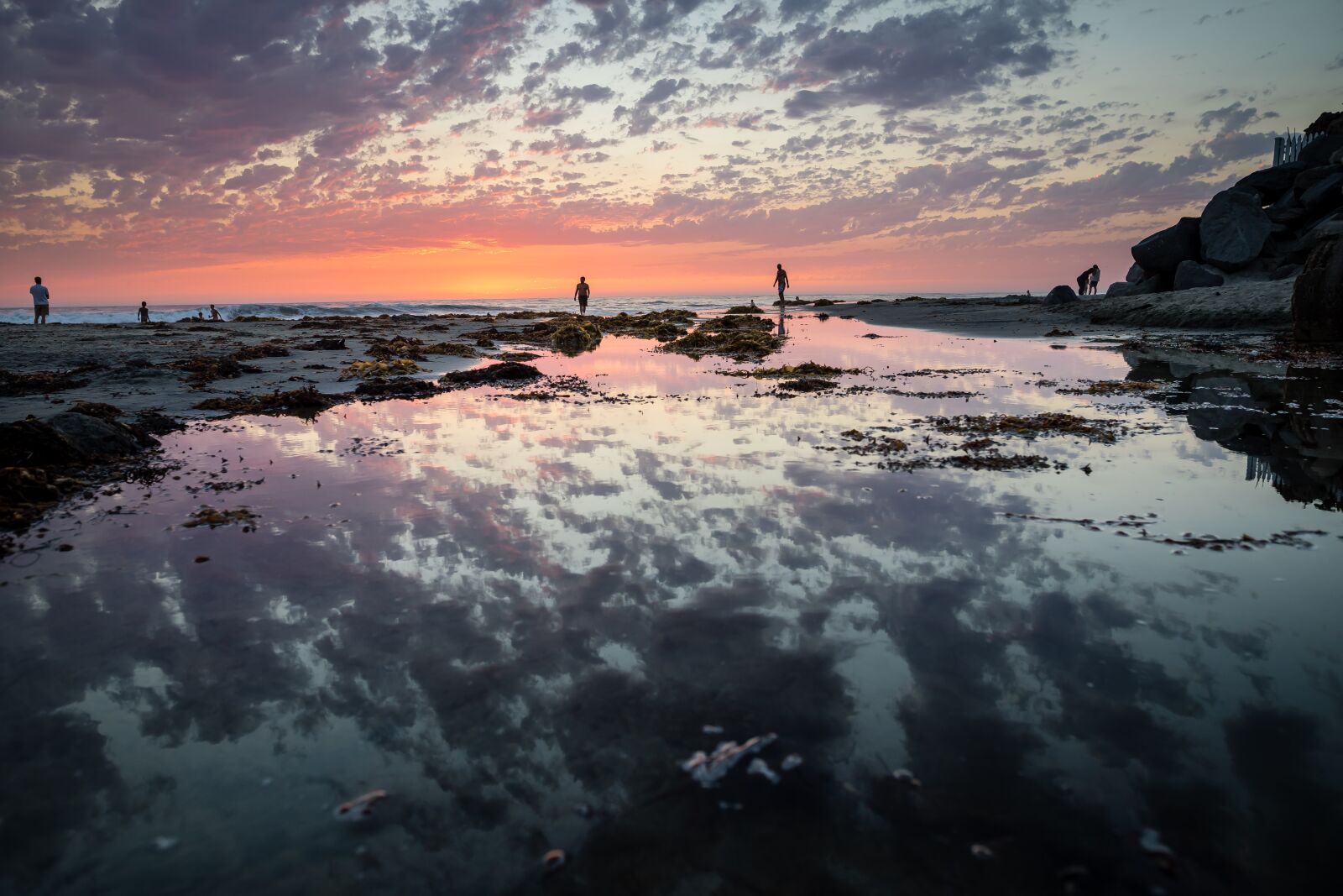 24mm F1.4 sample photo. Sunset, beach, sea photography