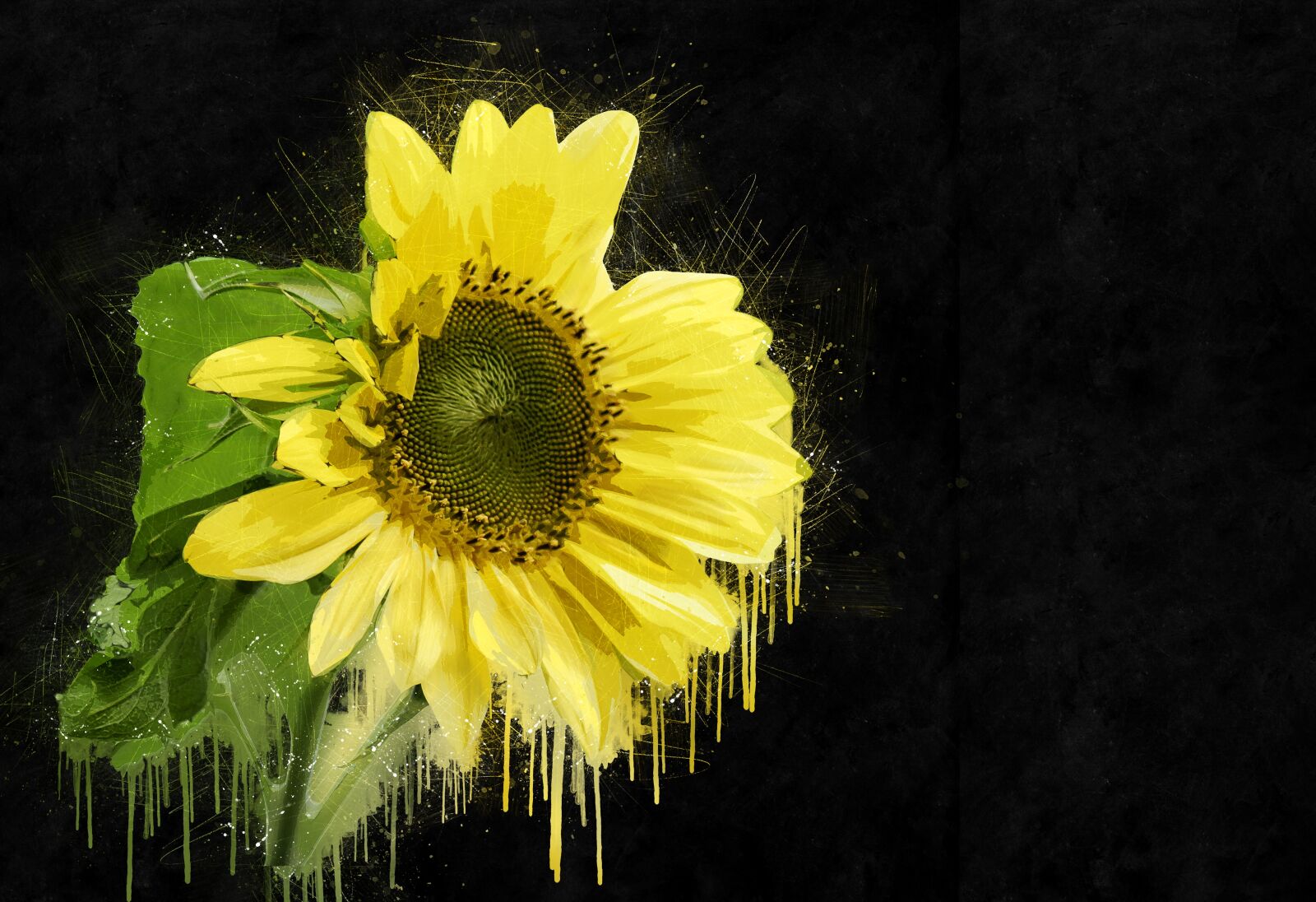 Canon EOS 550D (EOS Rebel T2i / EOS Kiss X4) sample photo. Sunflower, plant, yellow photography