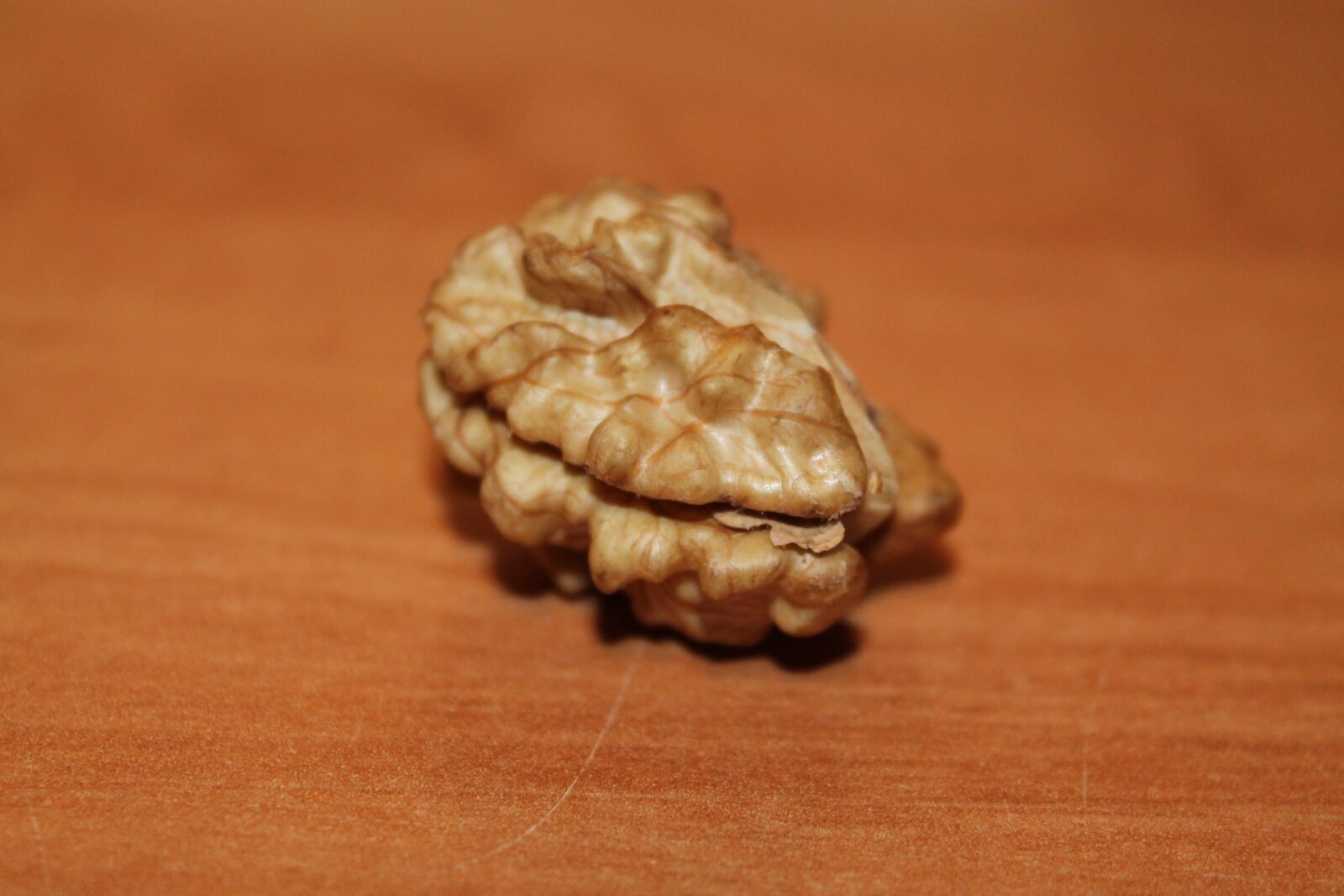 Canon EOS 1100D (EOS Rebel T3 / EOS Kiss X50) sample photo. Nut, walnut, fruit bowl photography