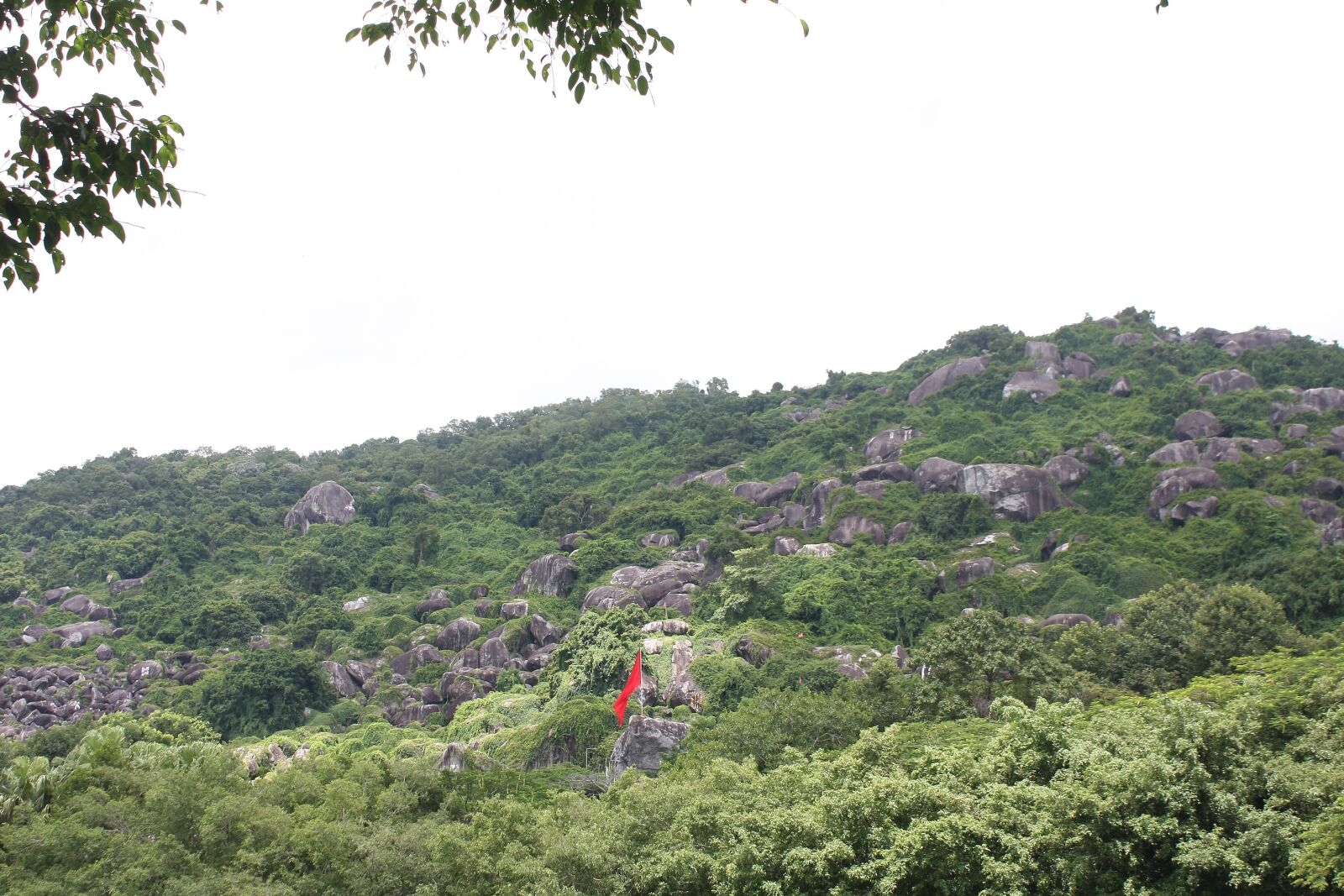 Canon EOS 40D sample photo. The hill, mountain, forest photography