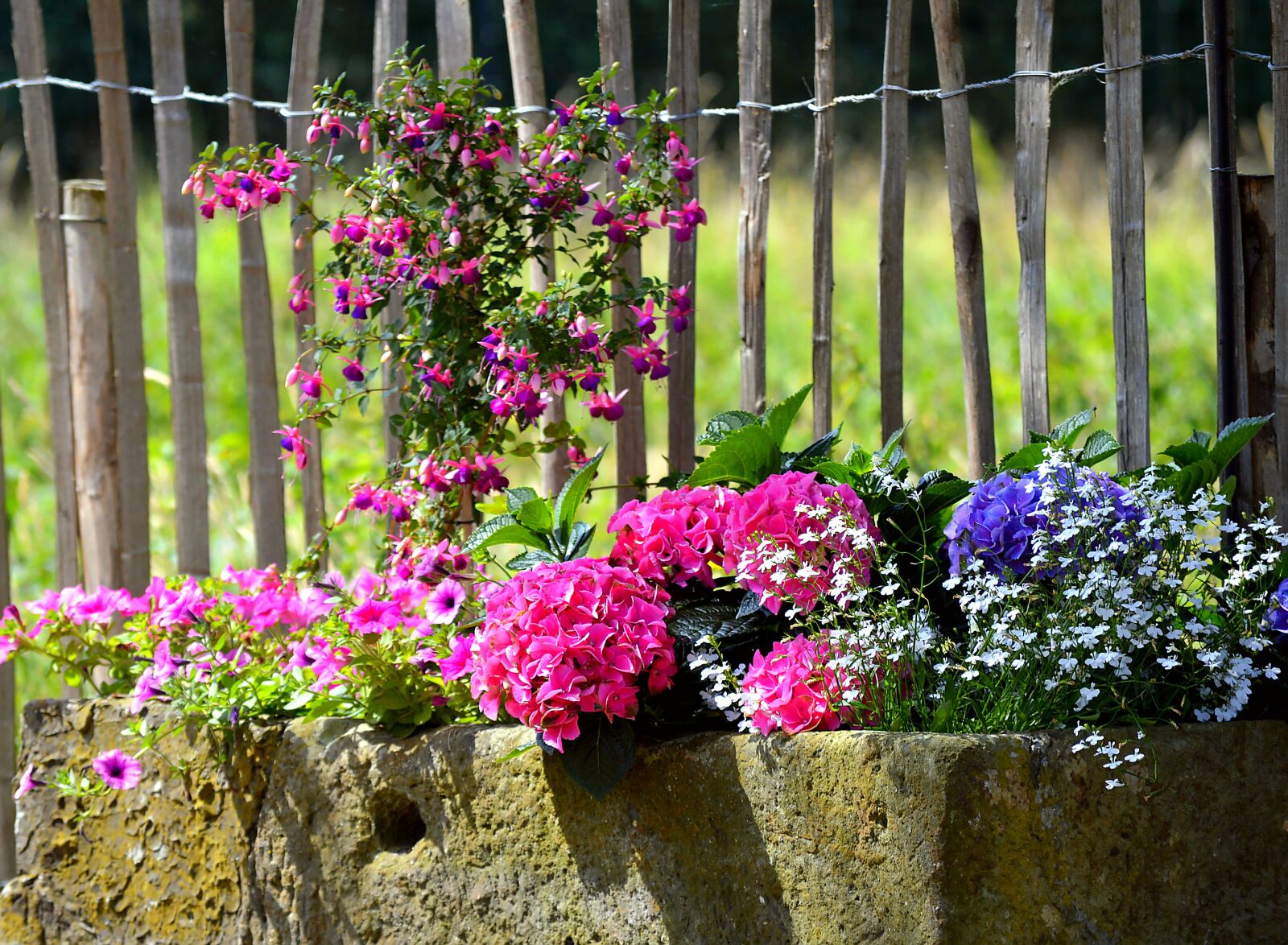 Nikon D3200 sample photo. Planters, colorful, summer photography