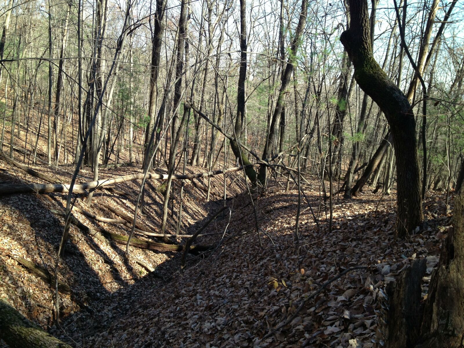 Apple iPhone 4S sample photo. Virginia, explorer park, explorer photography