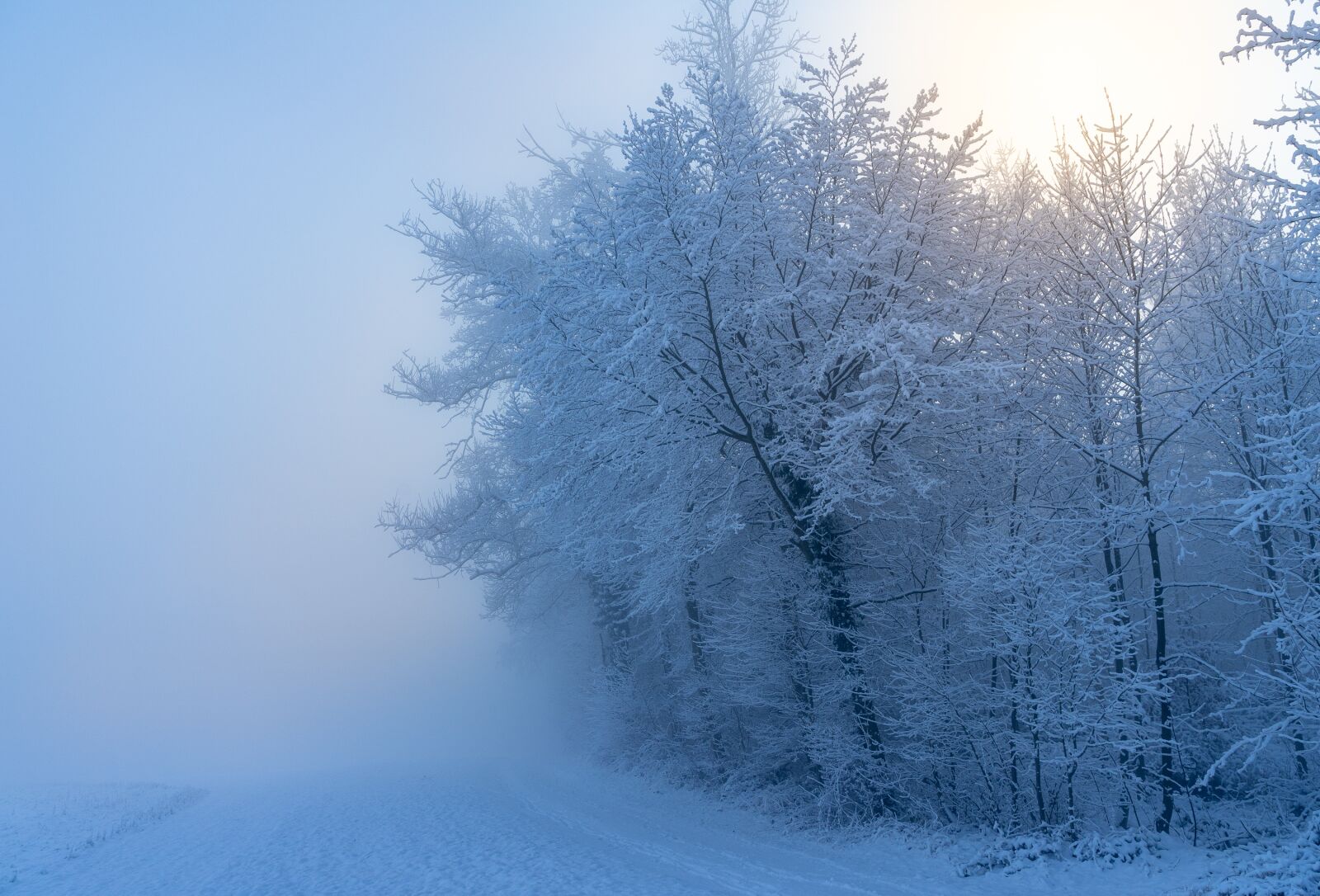 Sony a7 II + Sony Vario Tessar T* FE 24-70mm F4 ZA OSS sample photo. Winter, landscape, snow photography
