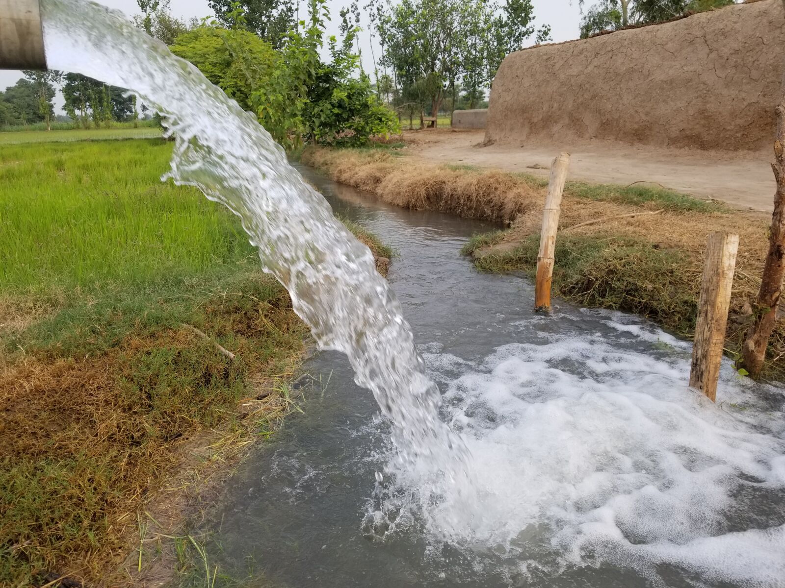 Samsung Galaxy S8+ sample photo. Fresh water, pakistan, farm photography