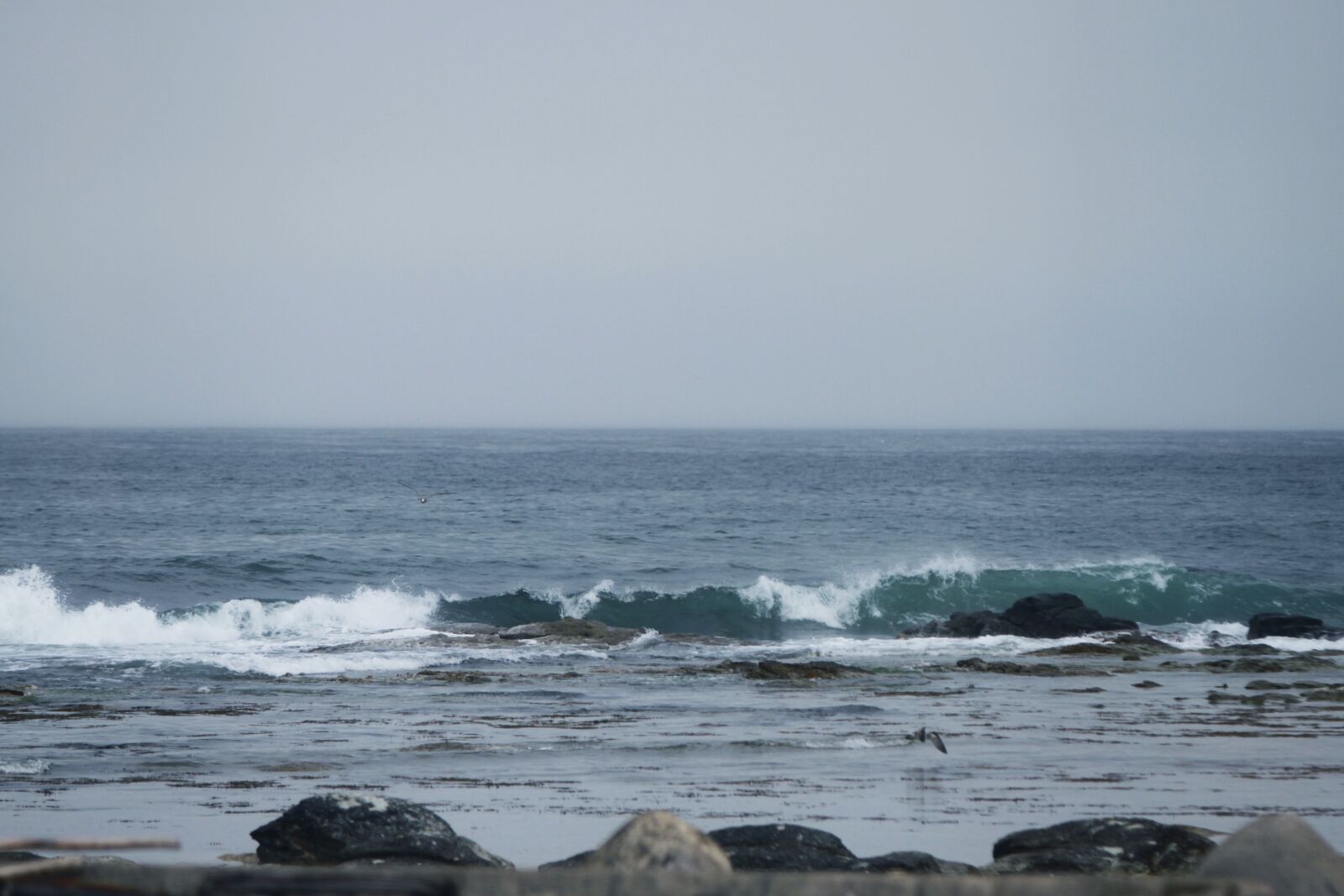 Canon EOS 7D sample photo. Pohang, waves, sea photography