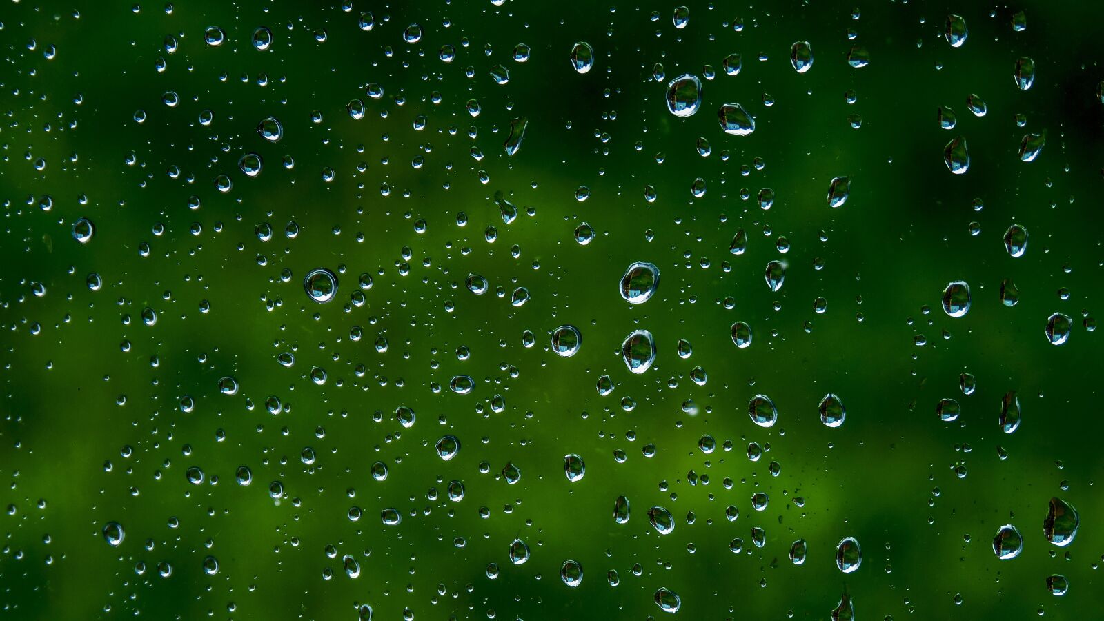 Canon PowerShot SX60 HS sample photo. Background, texture, template photography