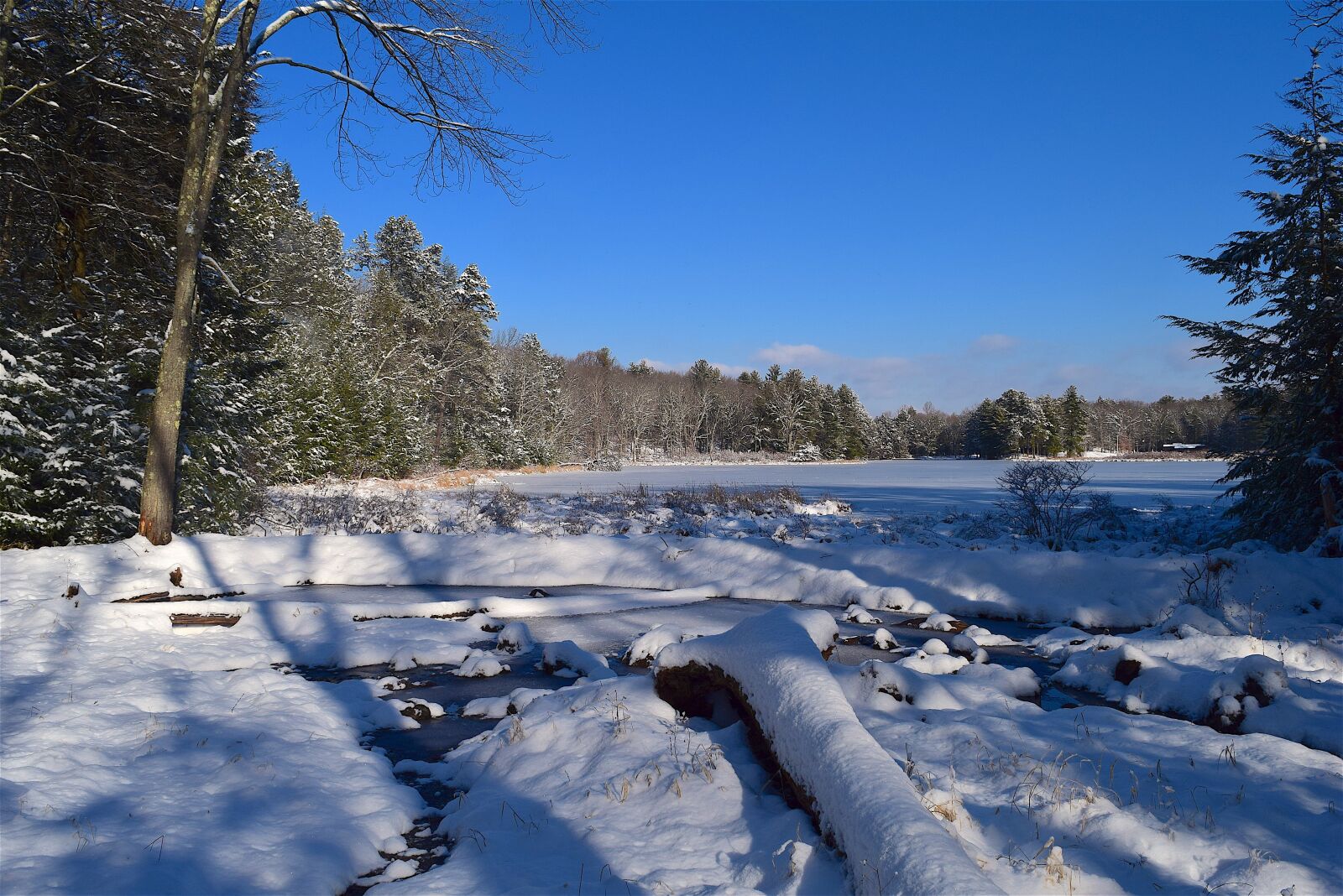 Nikon D3300 sample photo. Snow, lake, coast photography