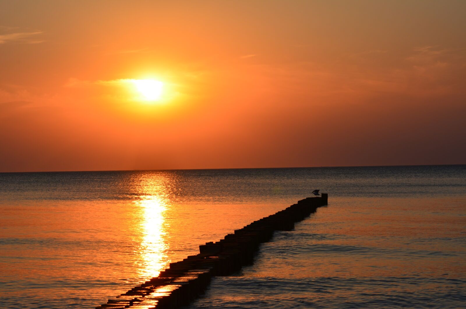 Nikon D5200 sample photo. Baltic sea, sunset, sun photography