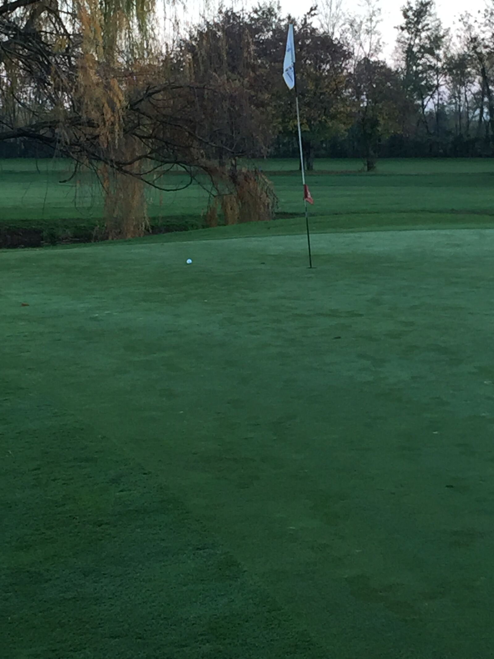 Apple iPhone 6 Plus sample photo. Greenclub, golf, nearest photography