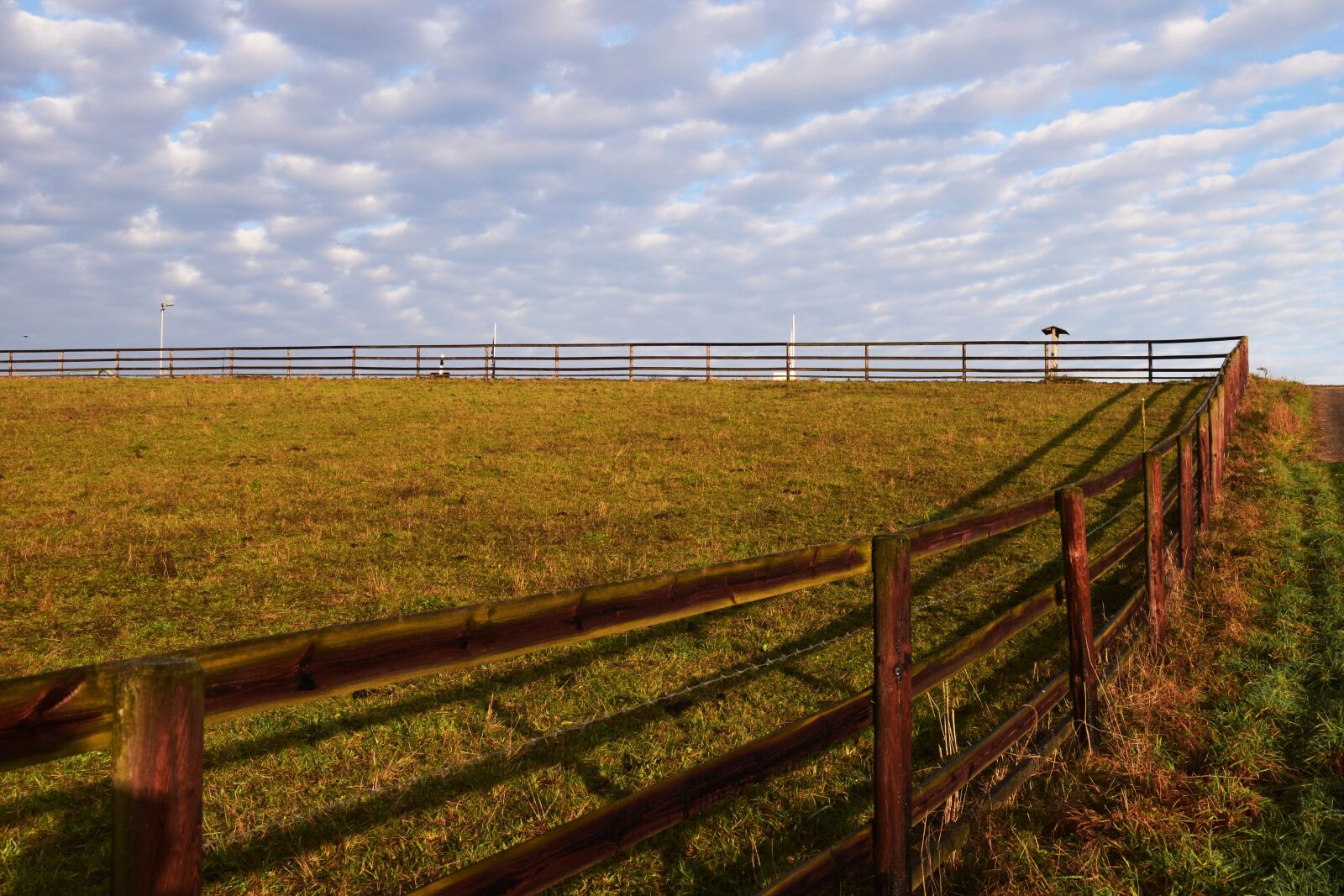 Nikon D3300 sample photo. Pasture, background, nature photography