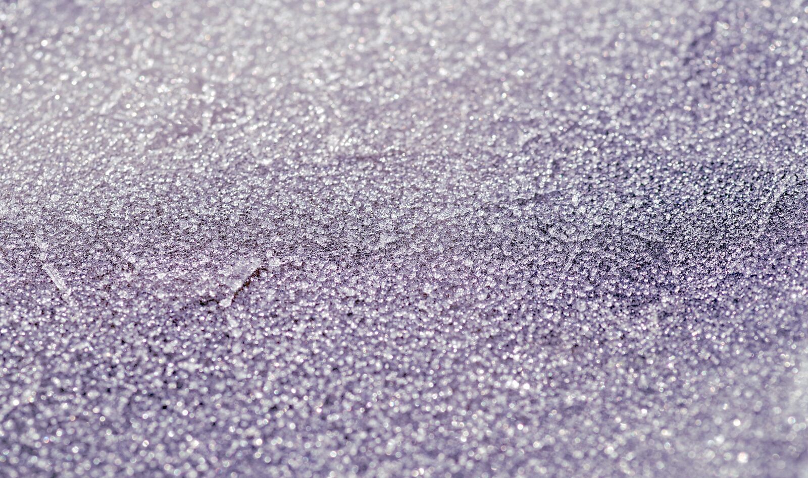 Pentax K-S2 sample photo. Winter, ice crystals, frost photography