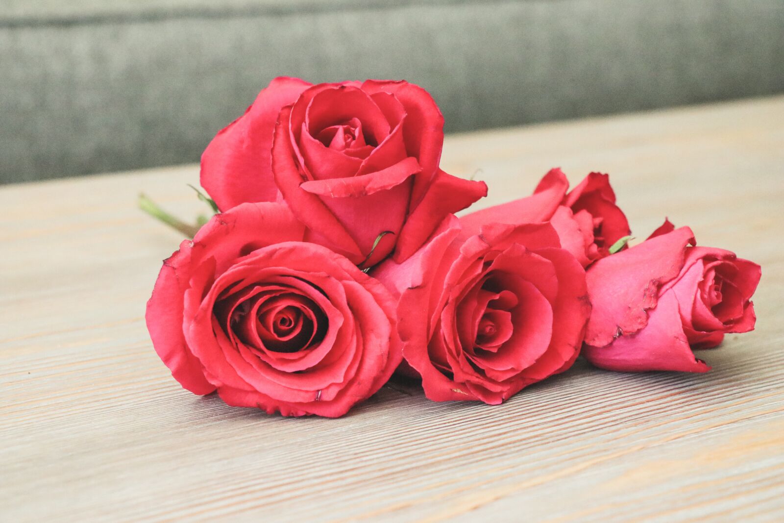 Canon EF-S 18-135mm F3.5-5.6 IS USM sample photo. Roses, red, flower photography