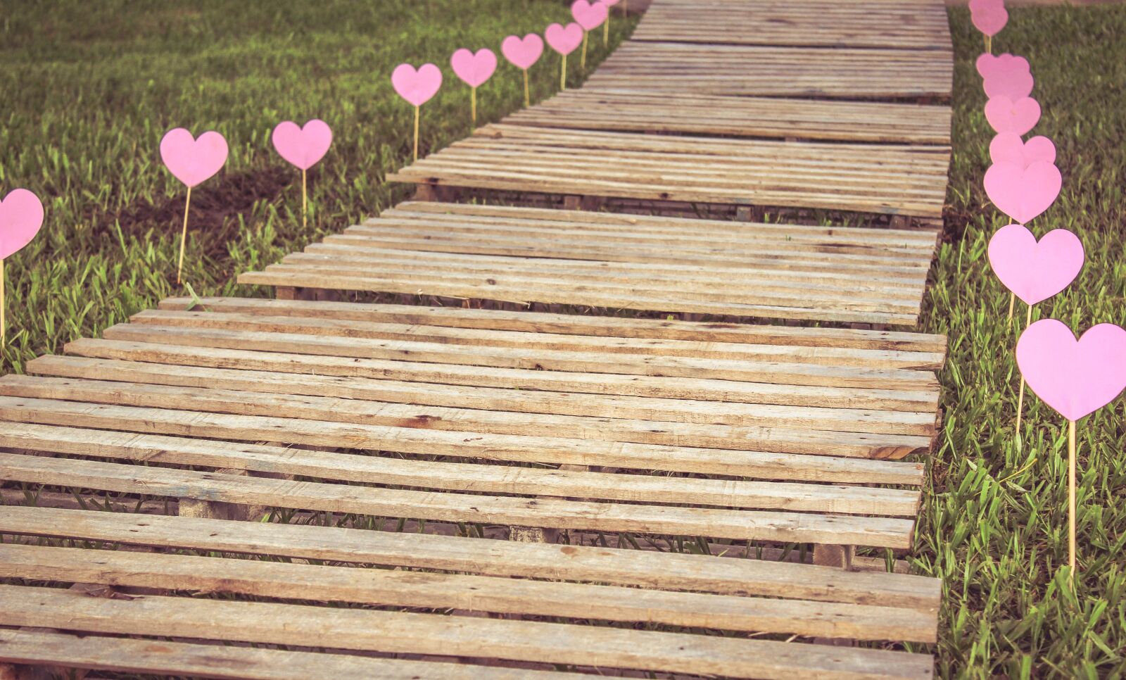 Canon EOS 1200D (EOS Rebel T5 / EOS Kiss X70 / EOS Hi) sample photo. Path, love, future photography
