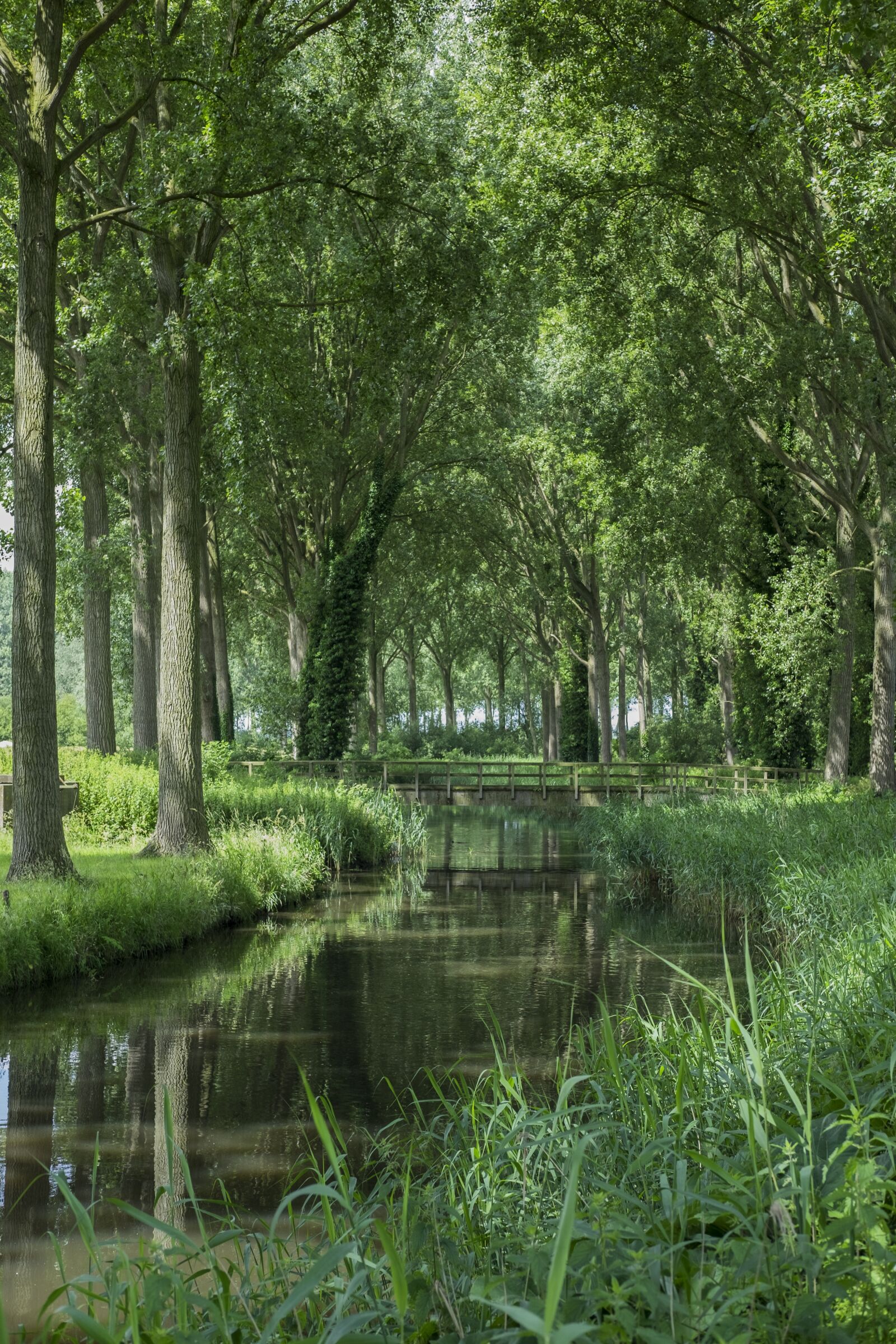 Fujifilm X-T1 + Fujifilm XF 35mm F2 R WR sample photo. Bruges, lady, channel photography