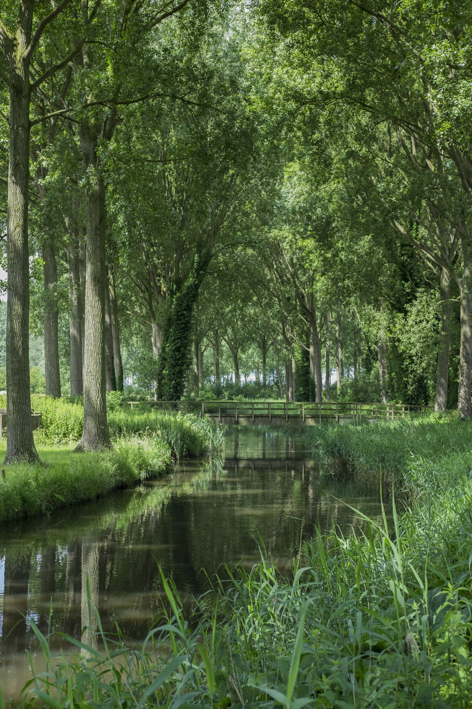 Fujifilm XF 35mm F2 R WR sample photo. Bruges, lady, channel photography